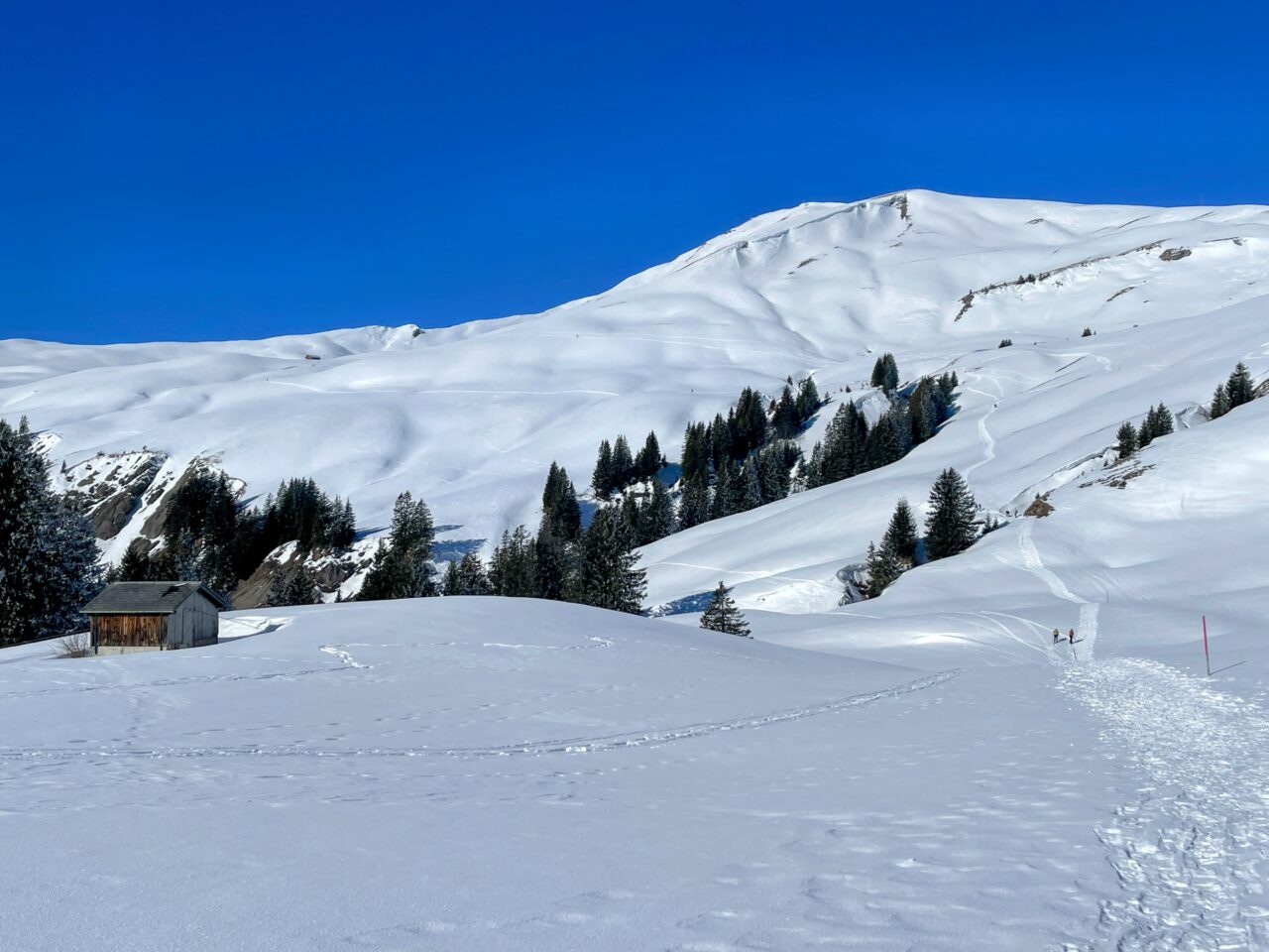 schneeschuhwanderung_turren_schoenbuehl_hoech_gumme_