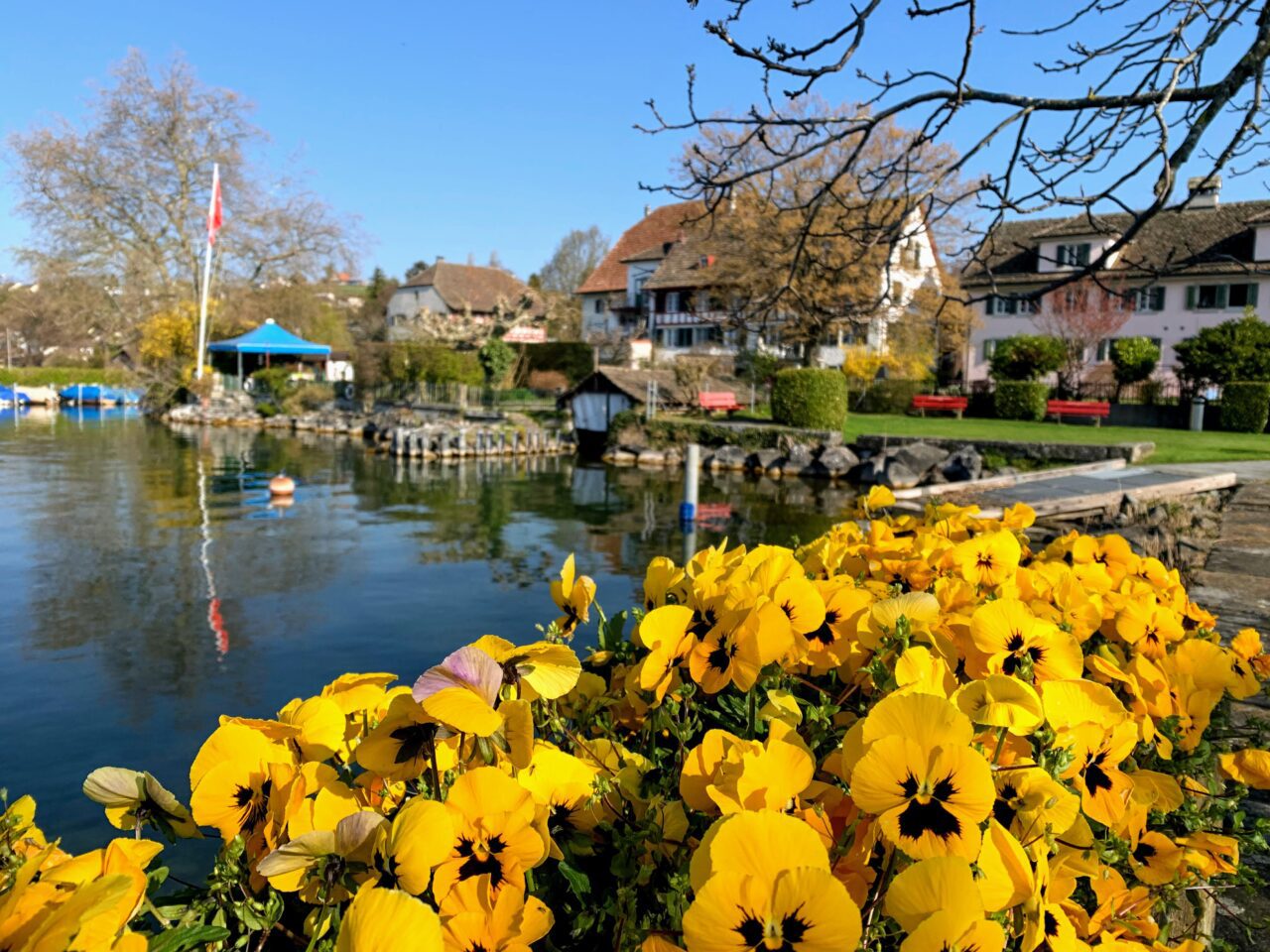 velotour_goldkueste_baden__IMG_7346