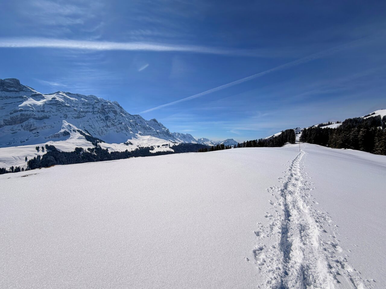 schneeschuhtour_lehmen_kronberg_chammhaldenhuette_schwaegalp__IMG_1349