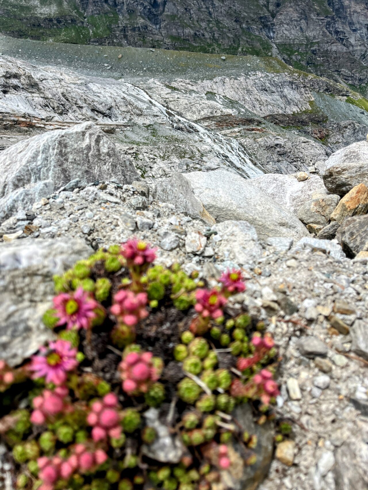 wanderung_mattmark_ze_seewjinu_