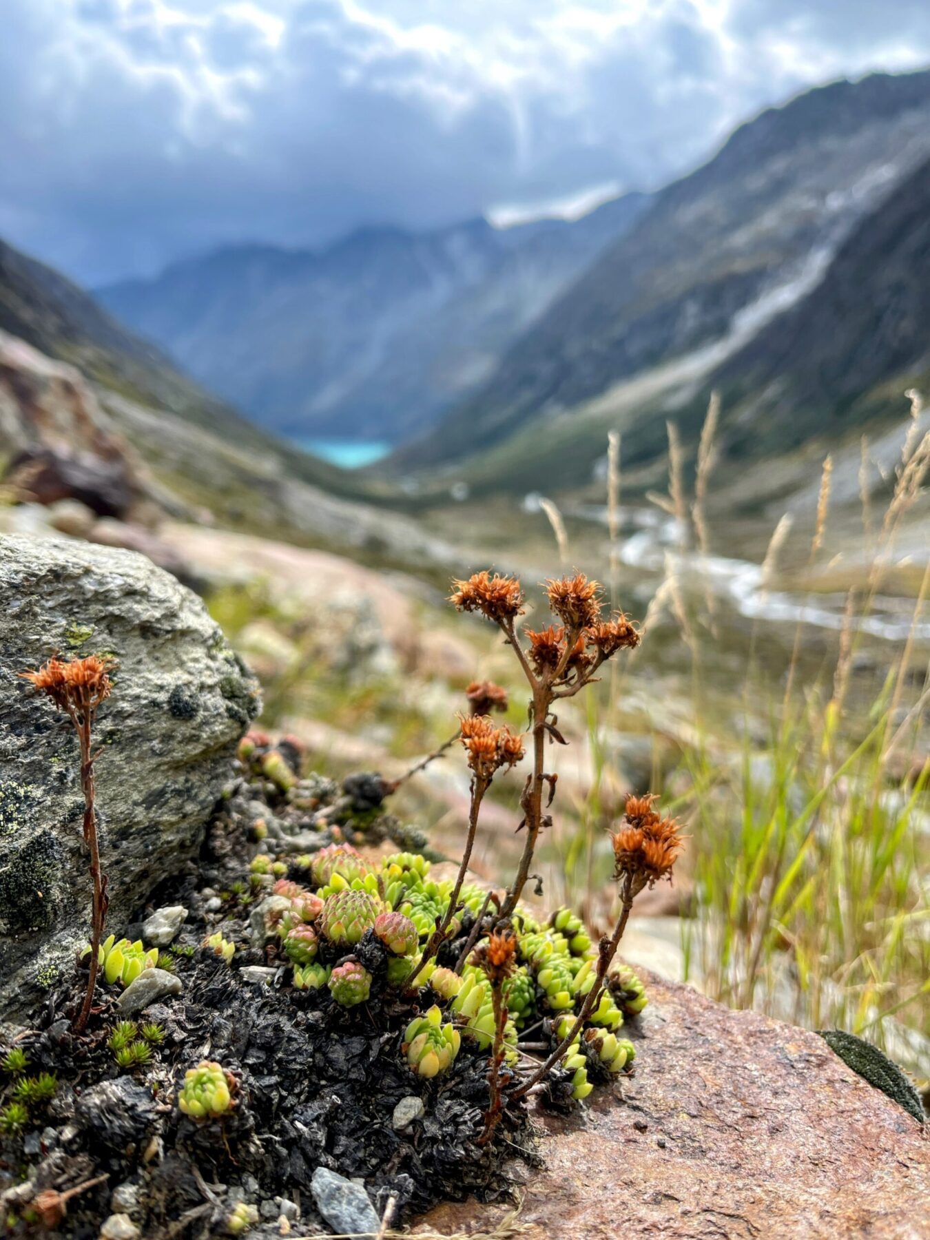 wanderung_5_huetten_panoramaweg_uri_