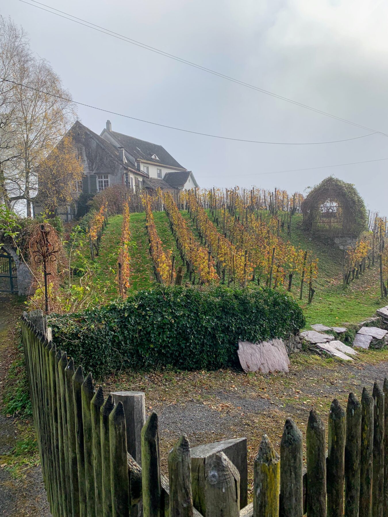 via_alpina_etappe_2_sargans_weisstannen_