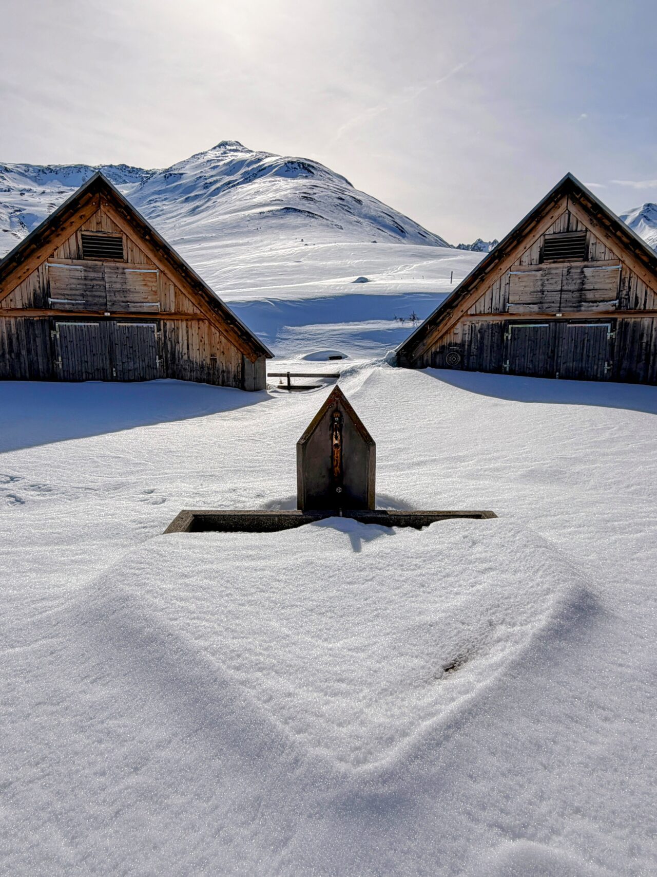 schneeschuhsafari-graubuenden-sedrun-disentis-_IMG_0309
