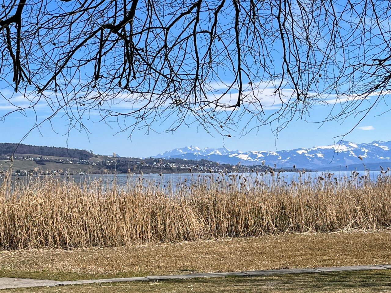 umrundung_zuerichsee_horgen_richterswil_