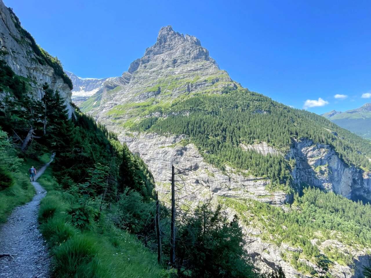 Wanderung_grindelwald_schreckhornhütte_