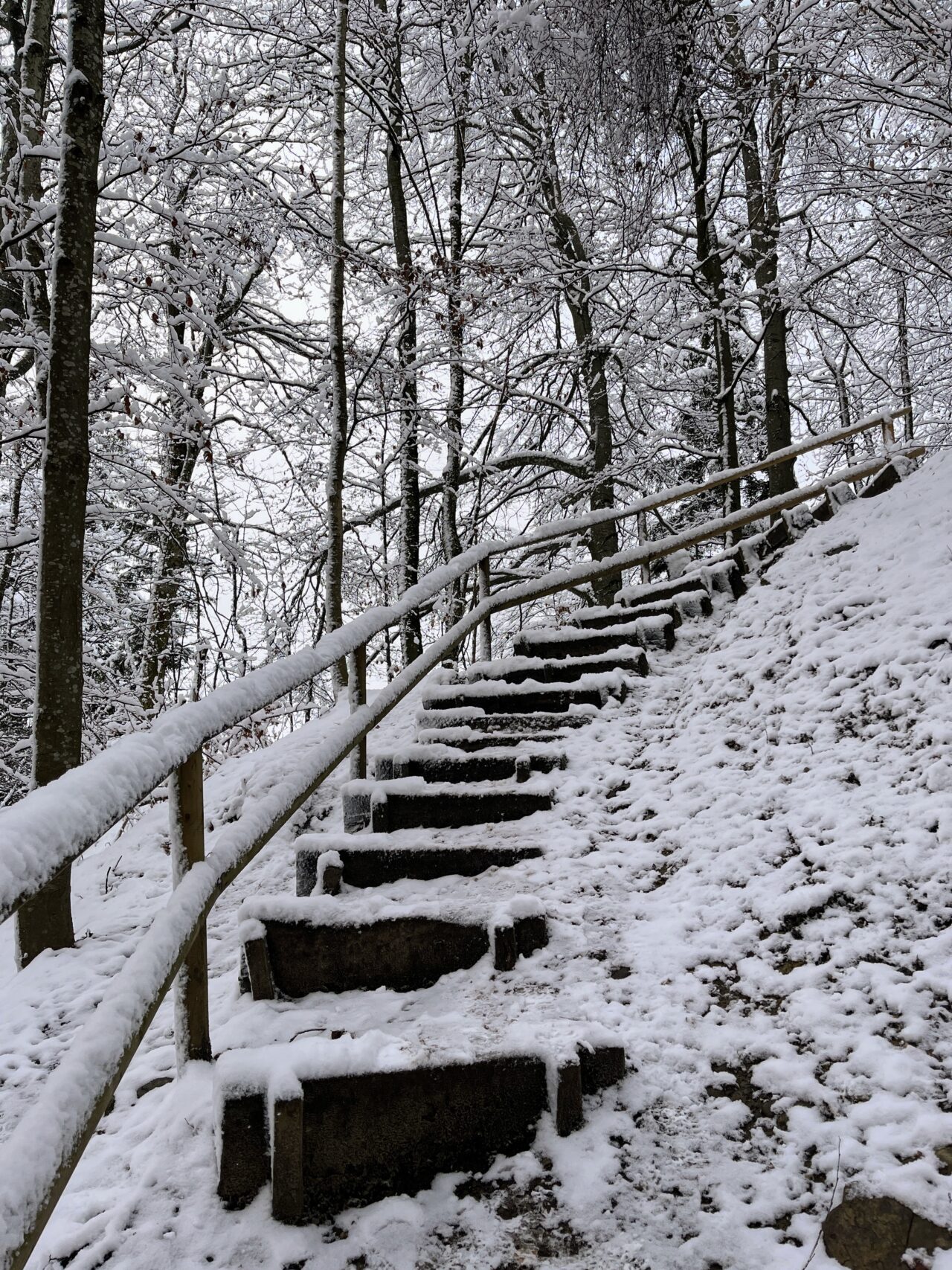 wanderung_albishorn_