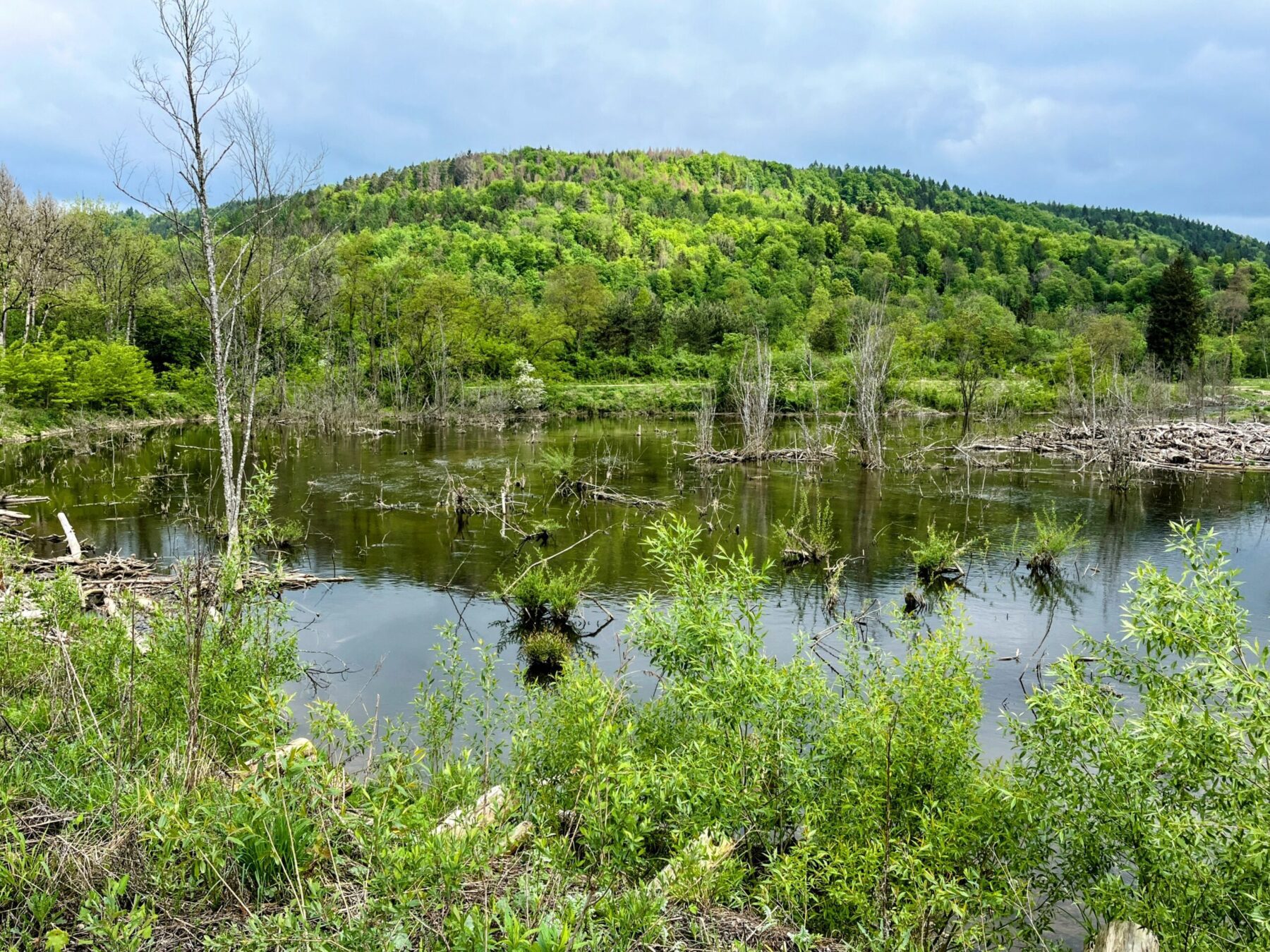 wanderung_schluchtensteig_schwarzwald_