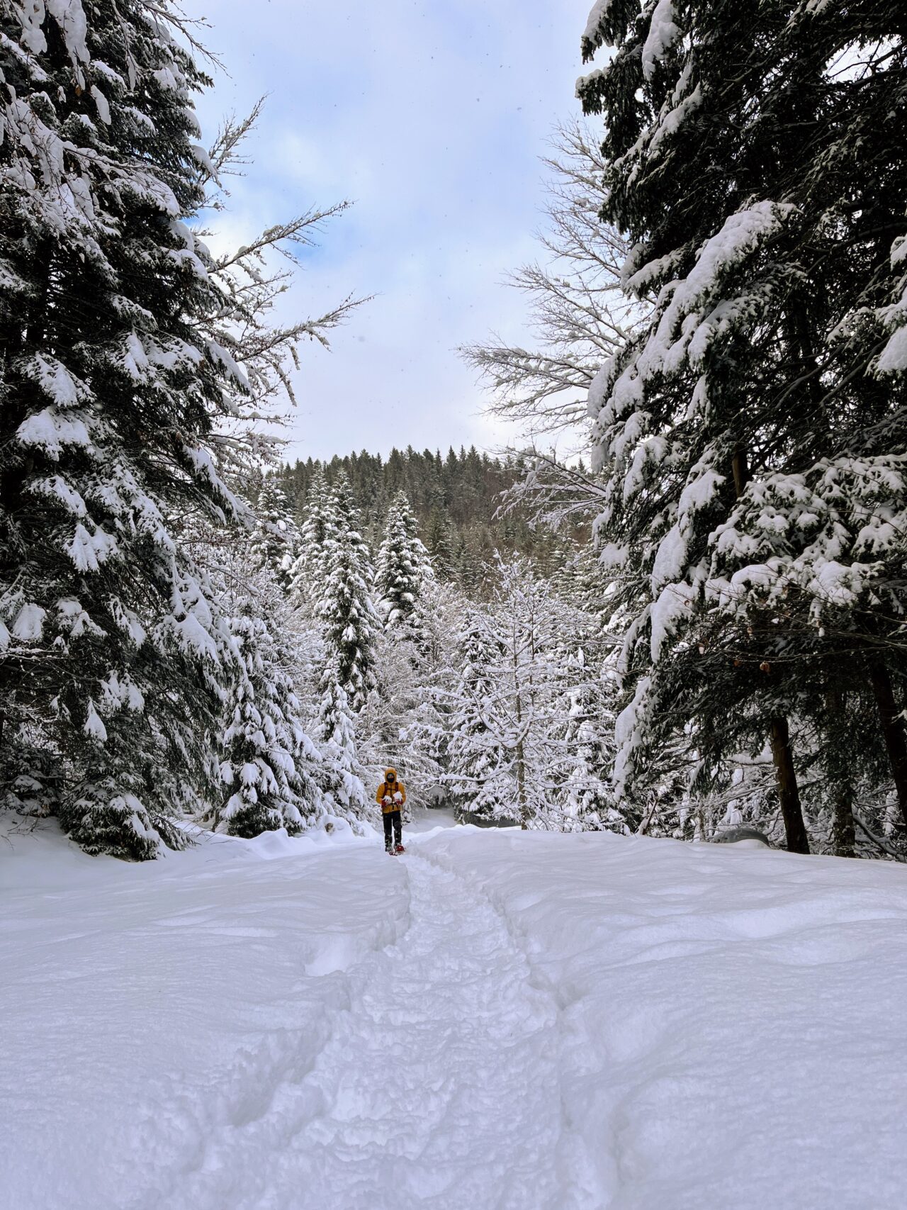 schneeschuhtour_sattelegg_