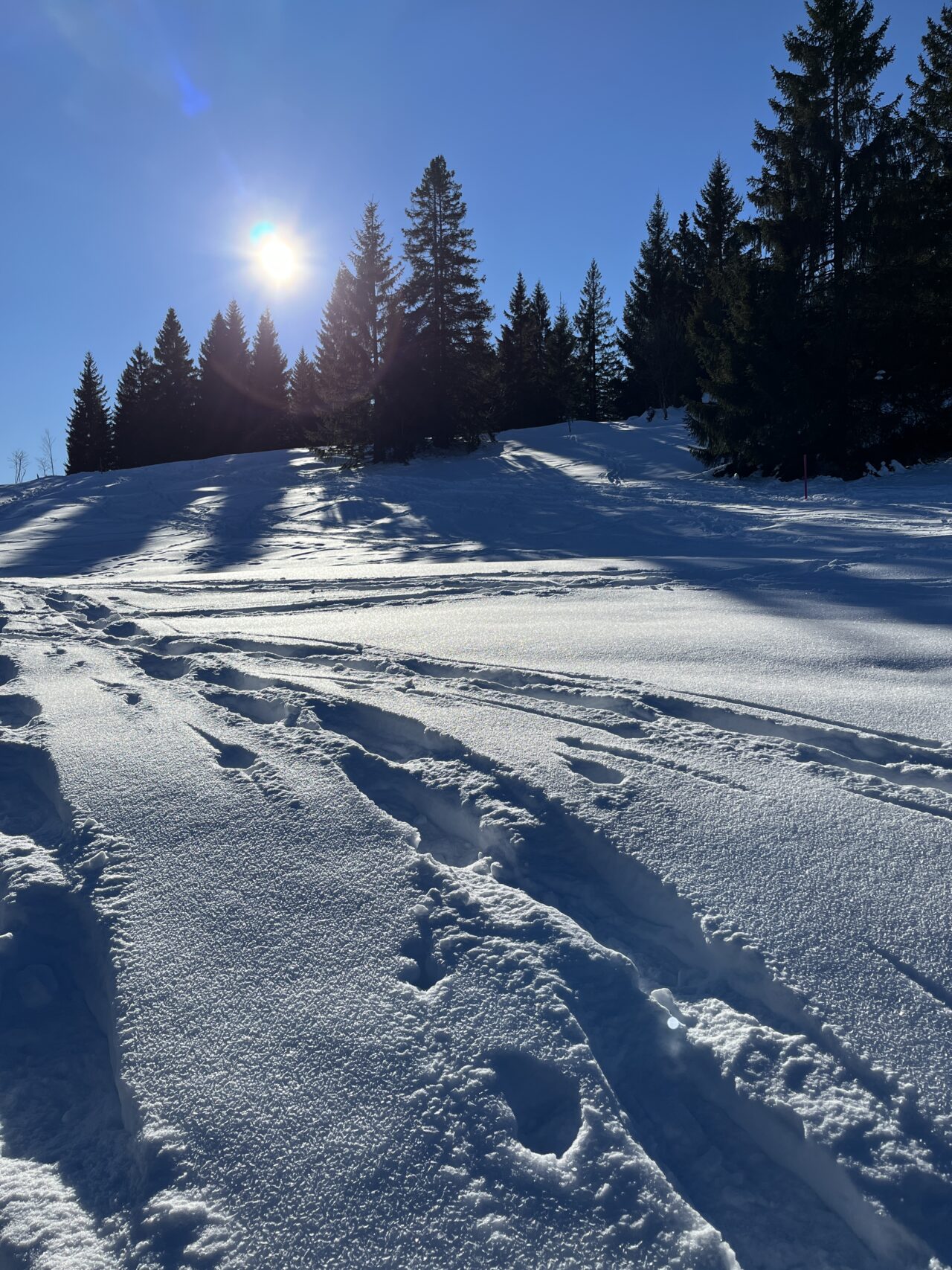 schneeschuhwandern_gottschalkenberg_