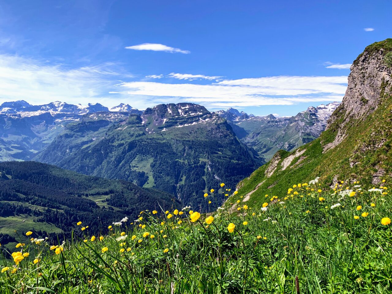wanderung_7_egg_hoch_ybrig_