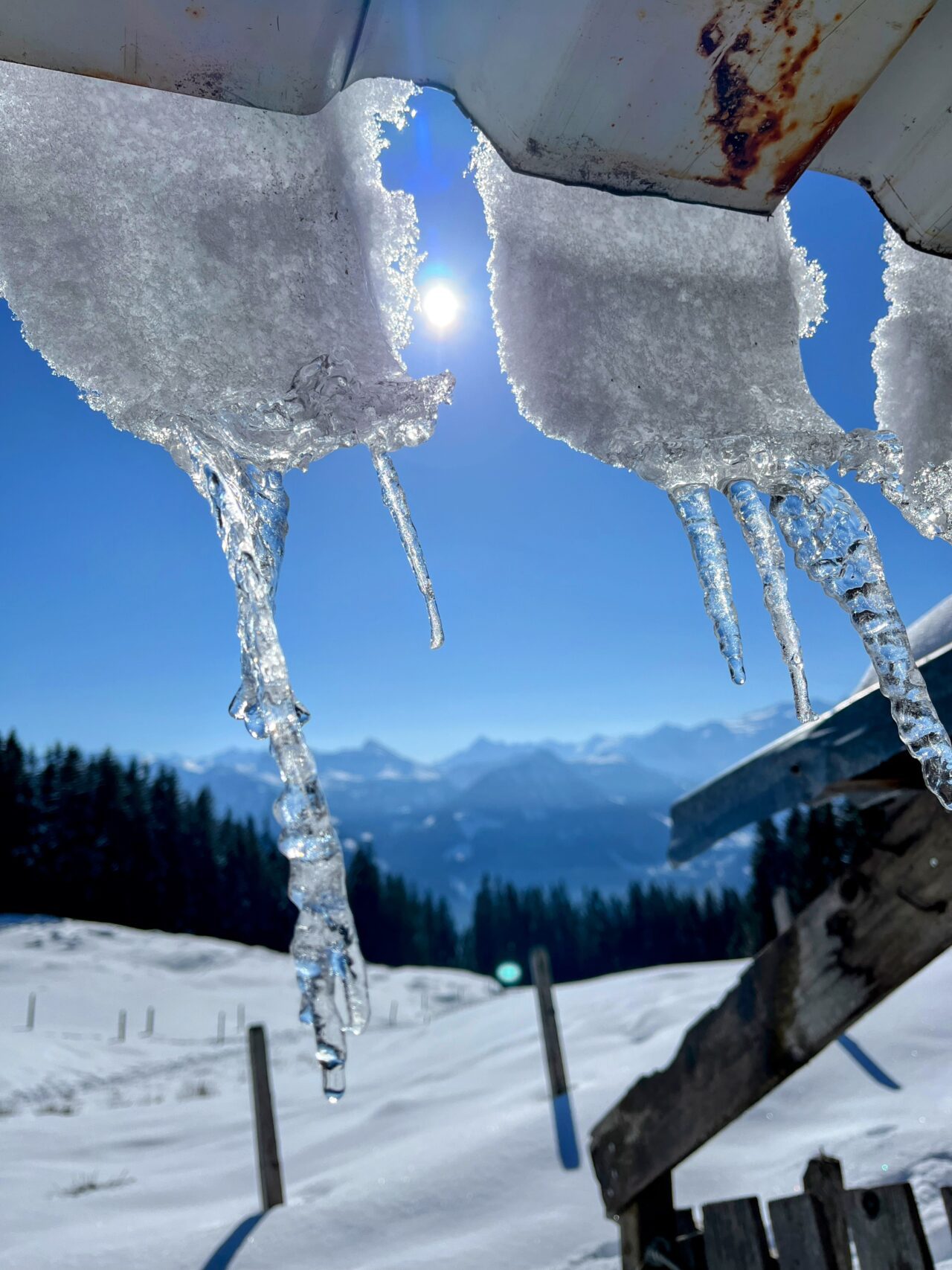 schneeschuhwandern-jaenzi-_IMG_9558 (Kopie)
