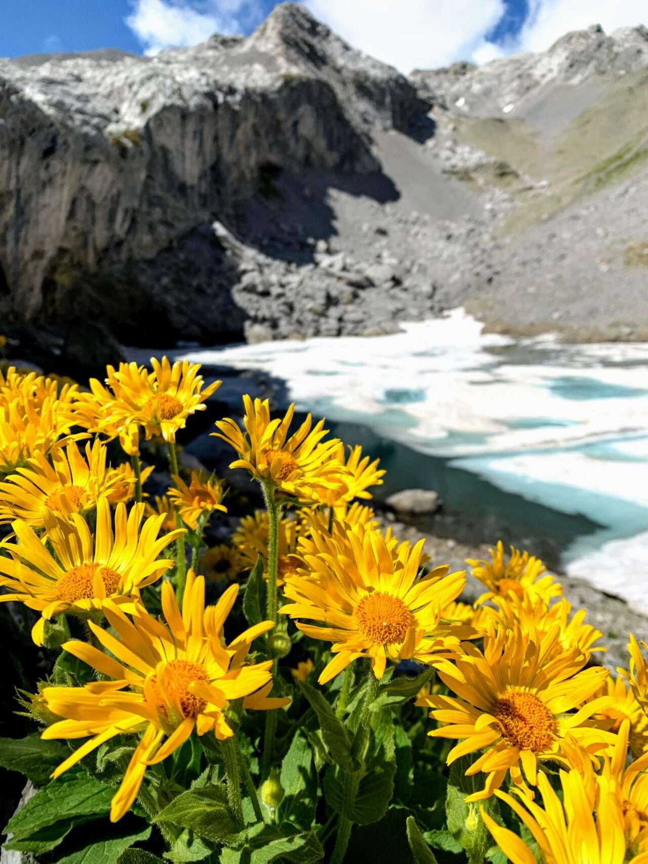 wanderung_tour_du_wildhorn_