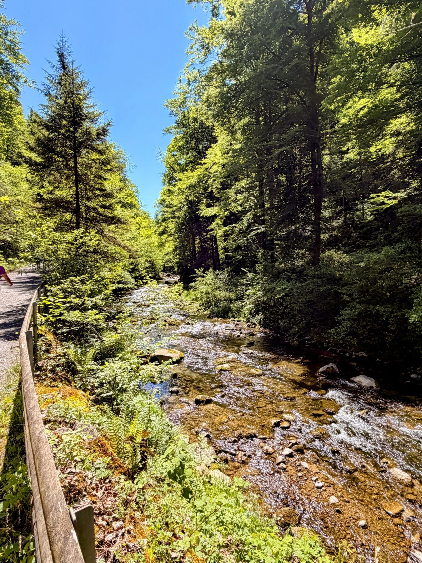 wanderung_lorzentobel_
