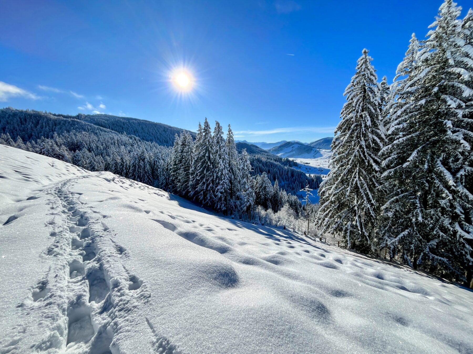 schneeschuhwanderung_rothenthurm_ahoren_biberbrugg__IMG_2404