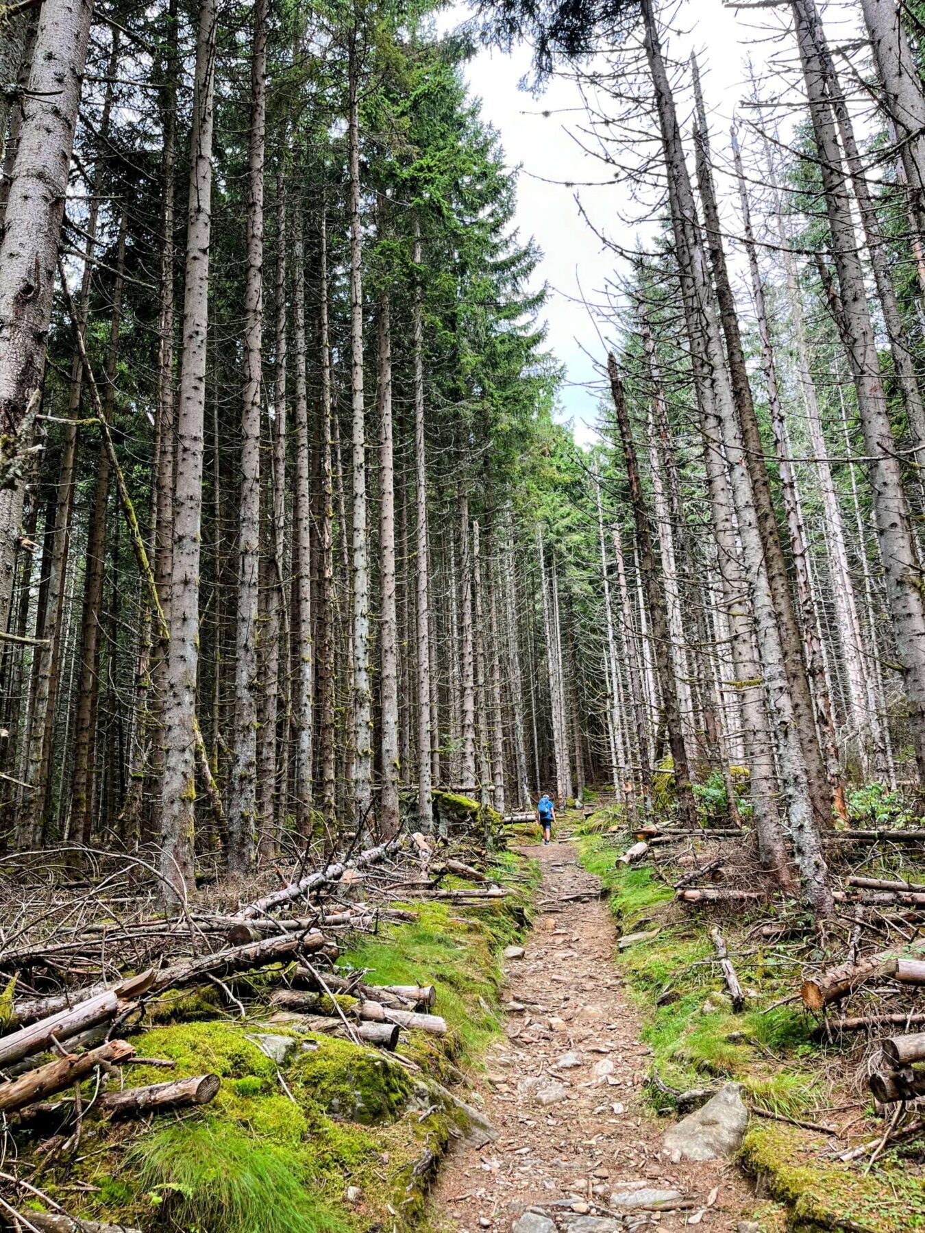 wanderung_meraner_höhenweg_