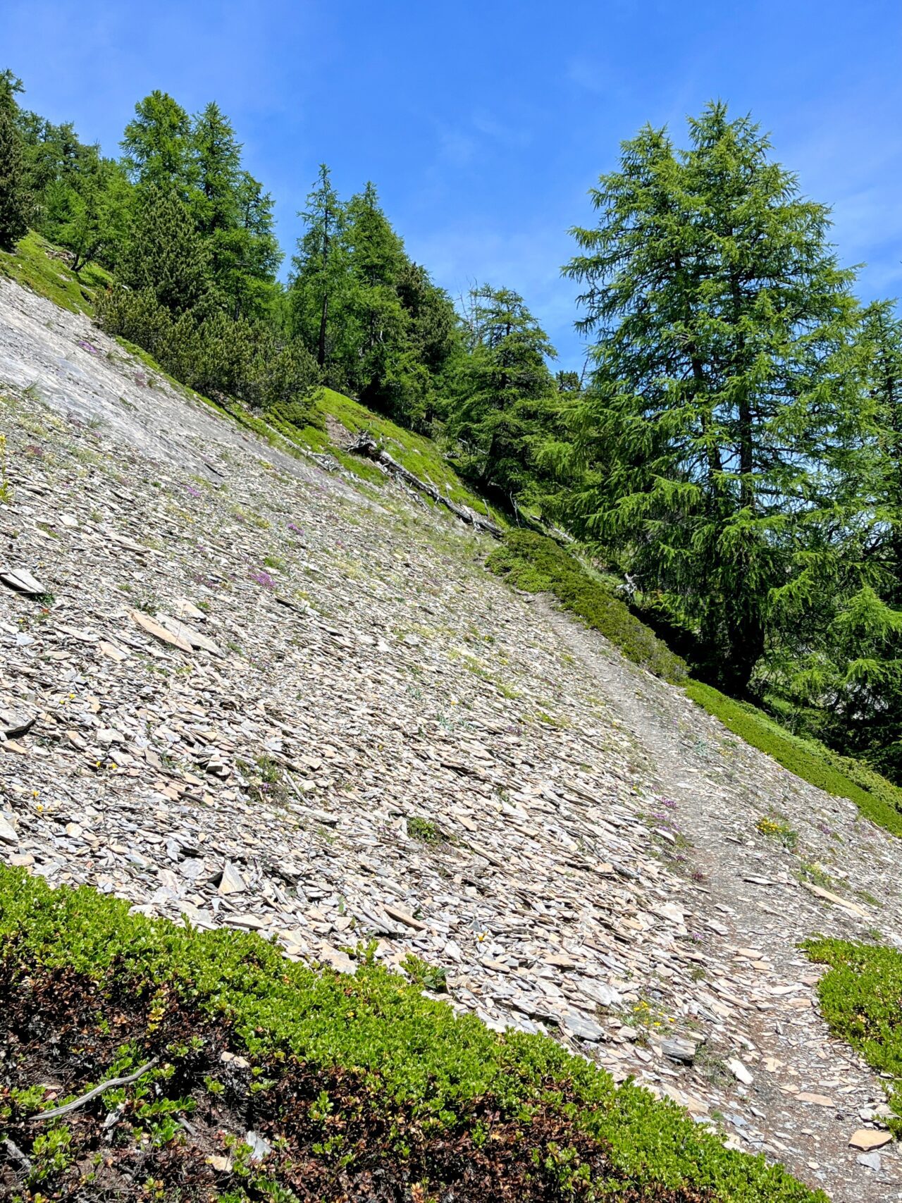 wanderung_wiwannihuette_