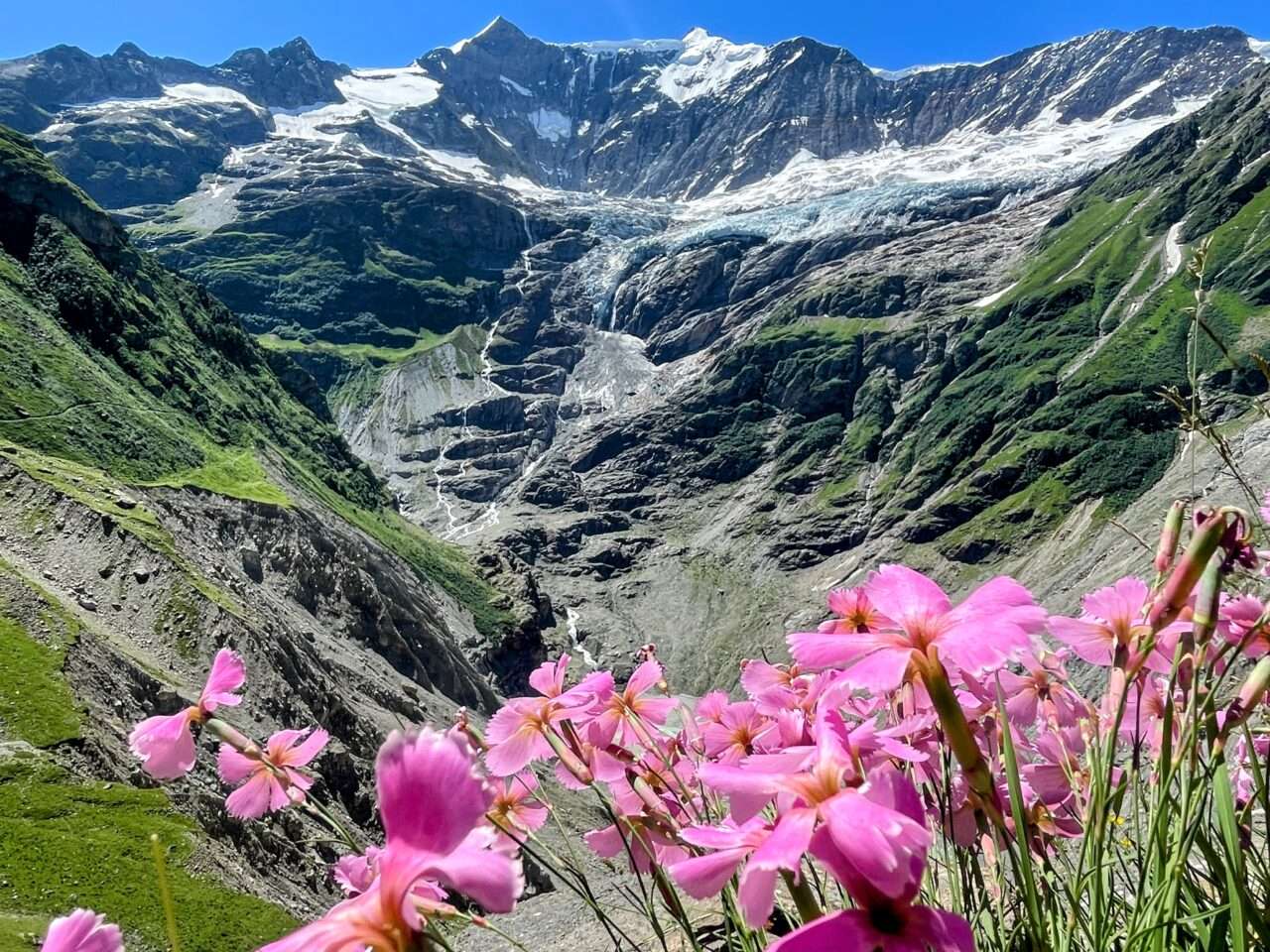 Wanderung_grindelwald_schreckhornhütte_