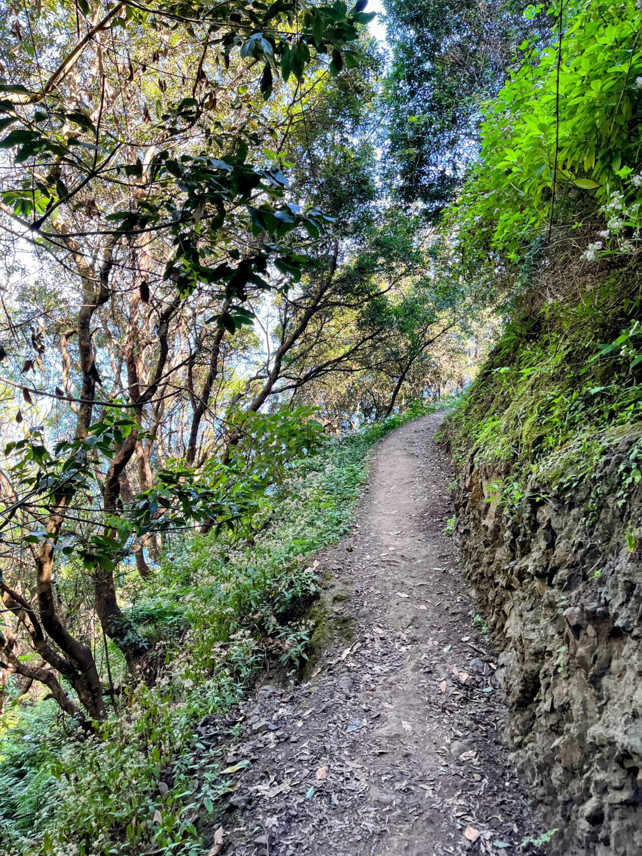 wanderung_madeira_porto_da_cruz_machico_