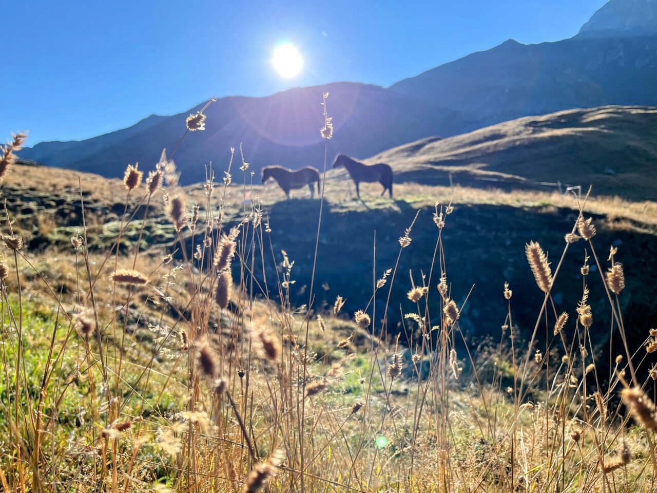 wanderung_sentiero_bernina_sud_
