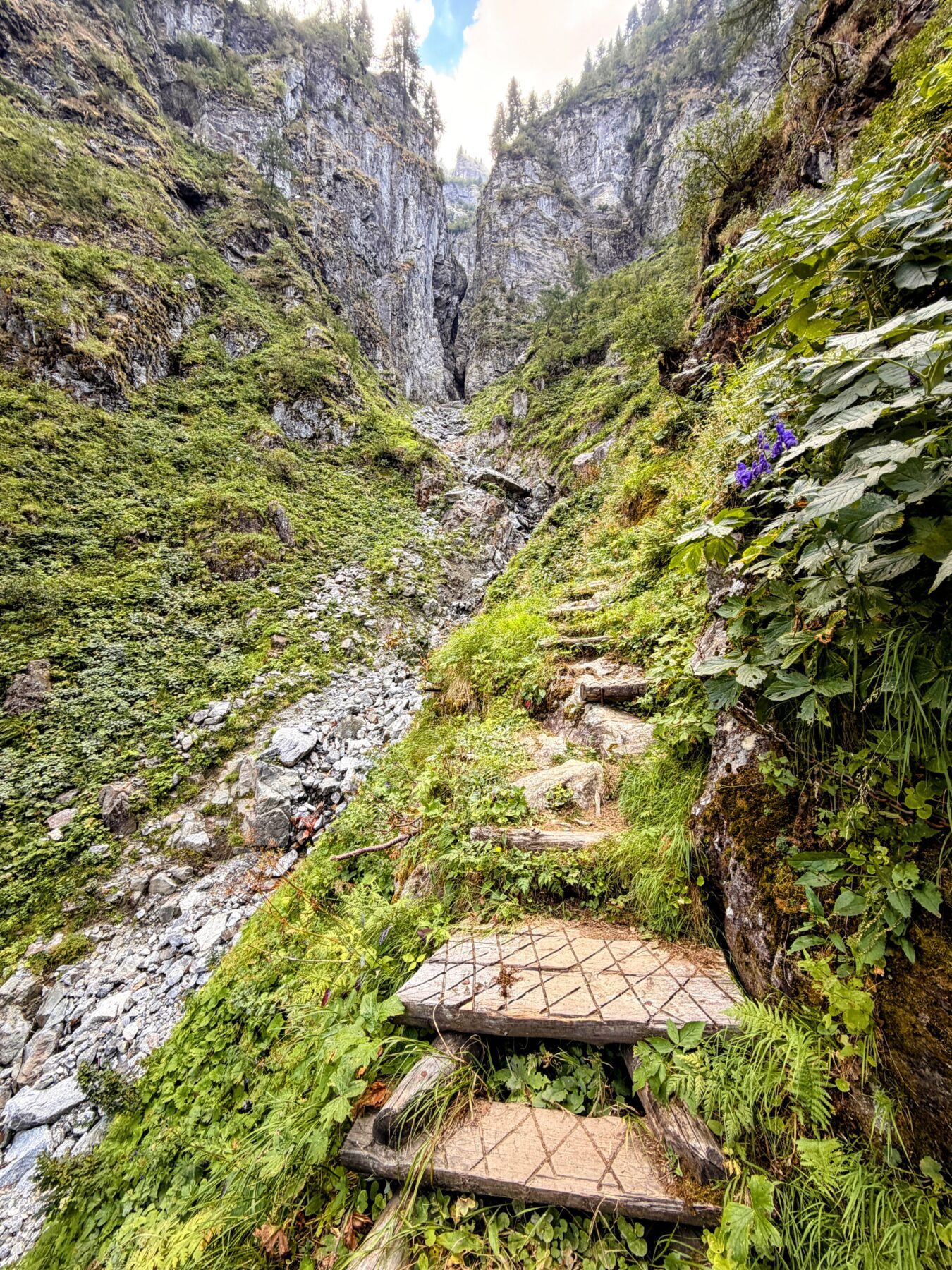 wanderung_sentiero_alpino_bregaglia_sciorahuette_sasc_furae_huette__IMG_0517