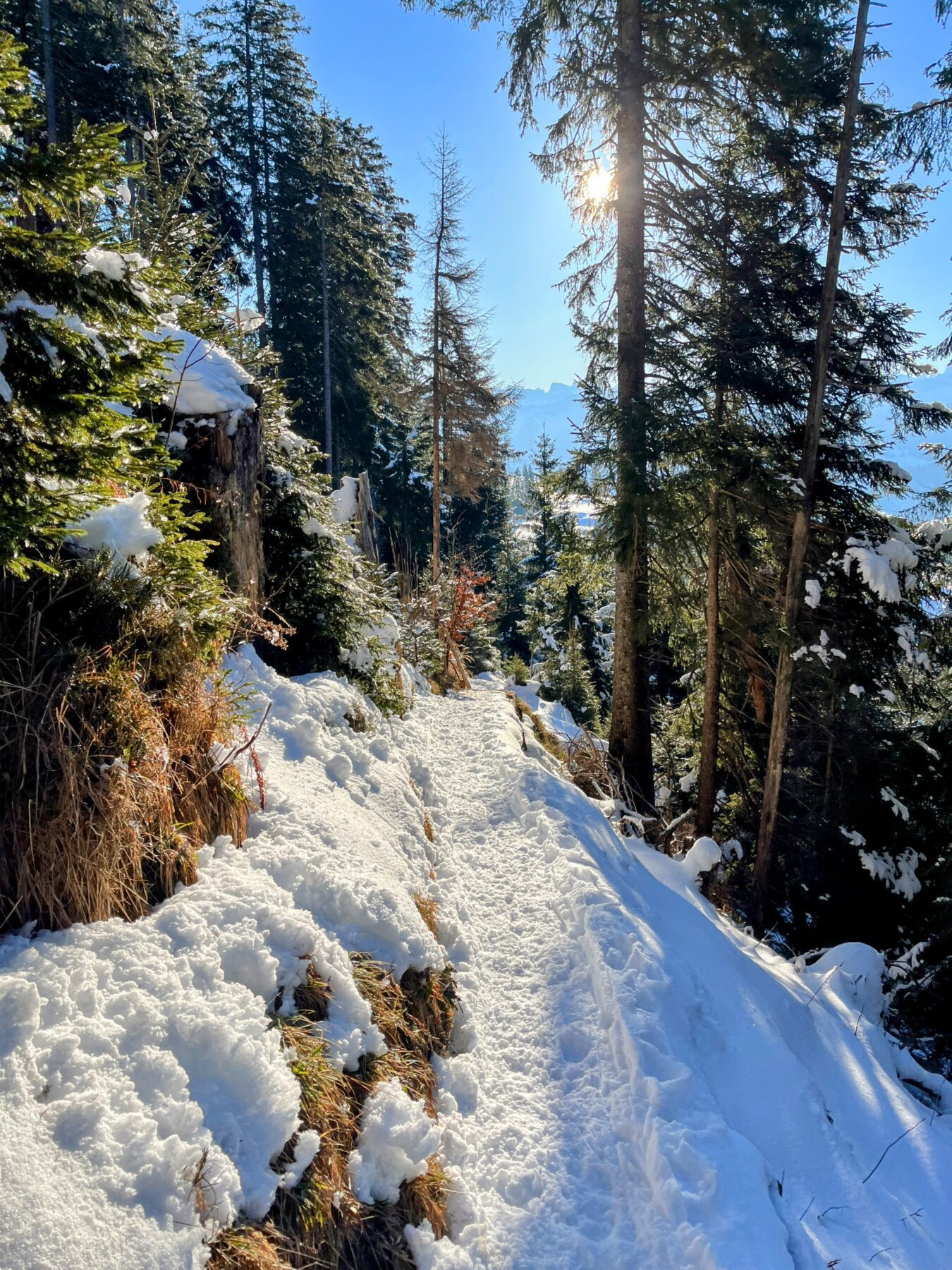 schneeschuhwandern-jaenzi-_IMG_9540 (Kopie)