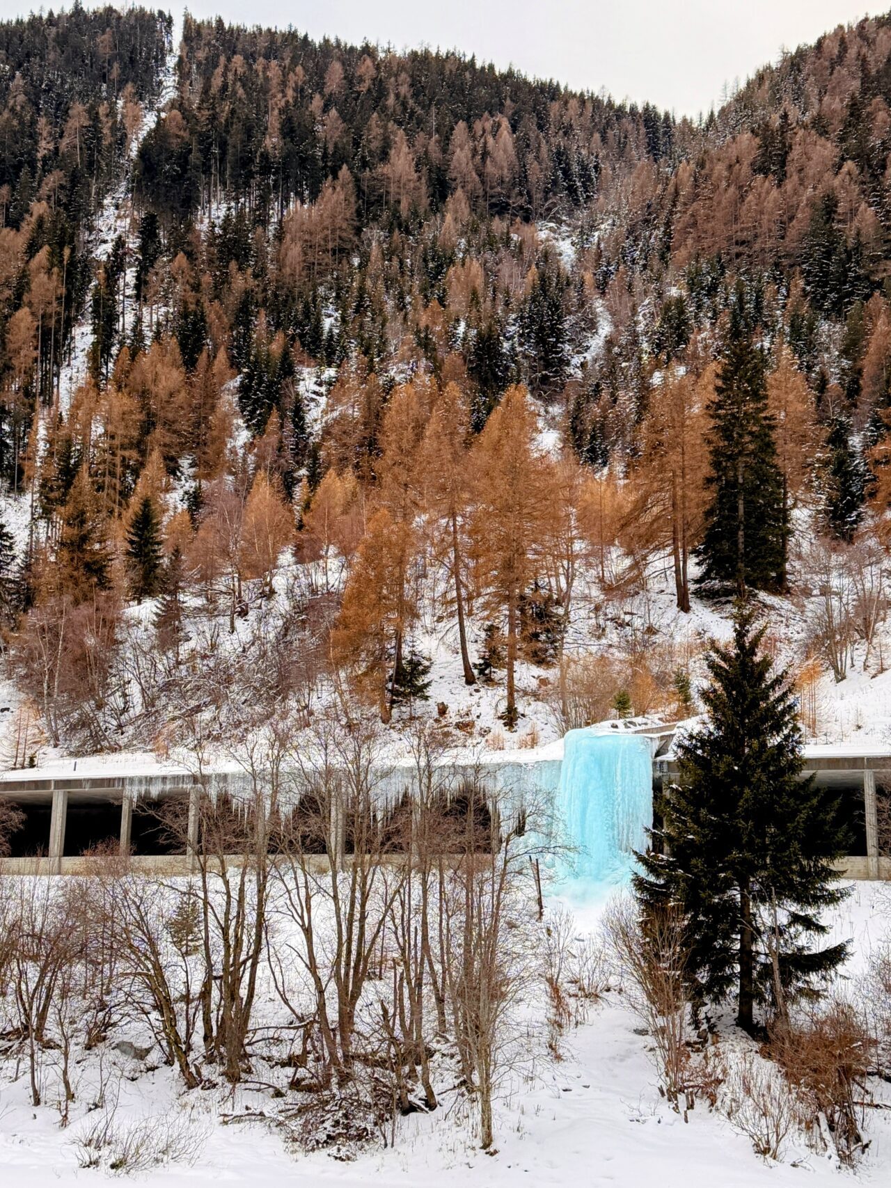 winterwanderung_via_engadina_zernez_guarda__IMG_9166