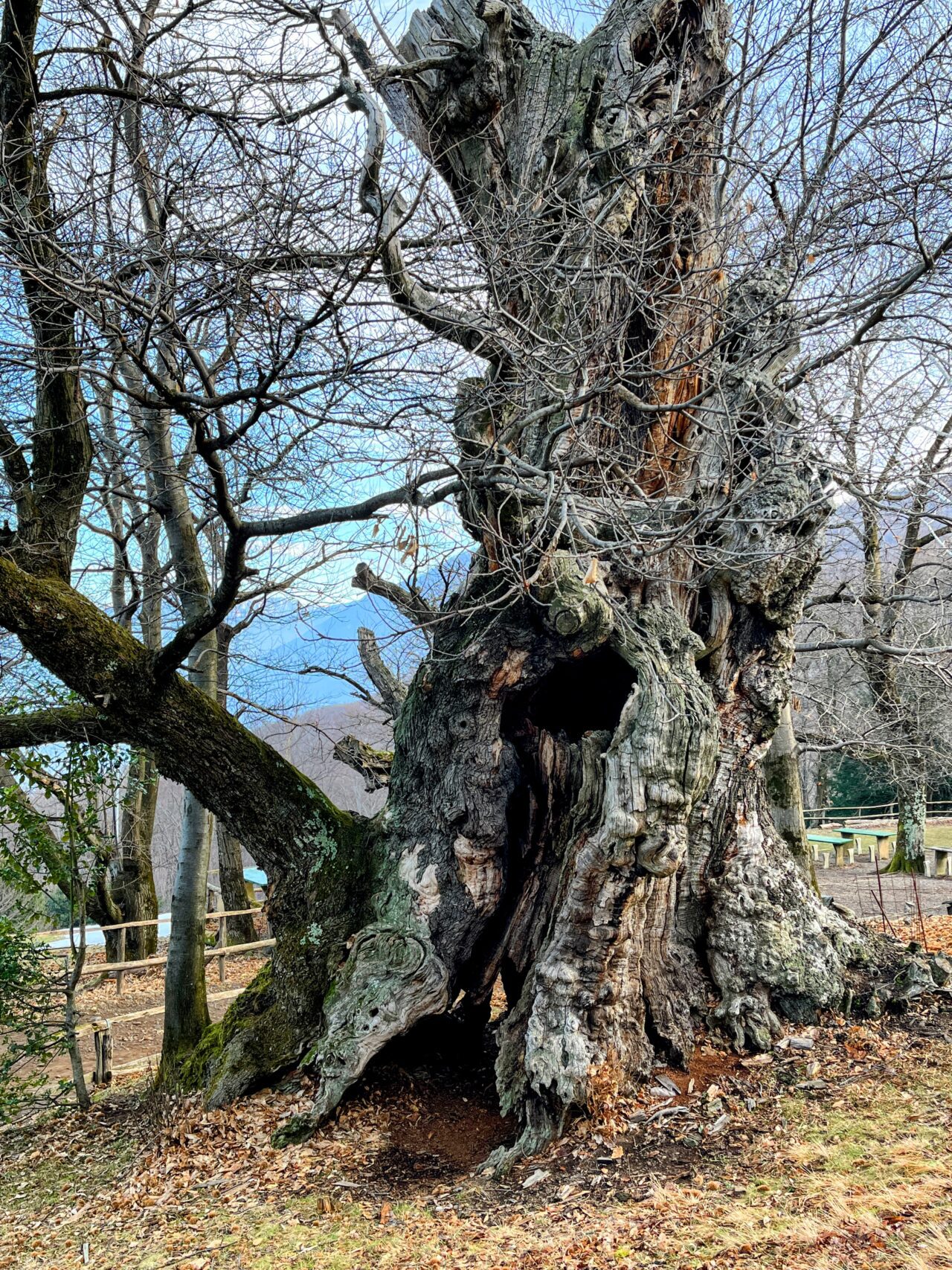wanderung_transswiss_etappen_29_bis_32_bellinzona_mendrisio_