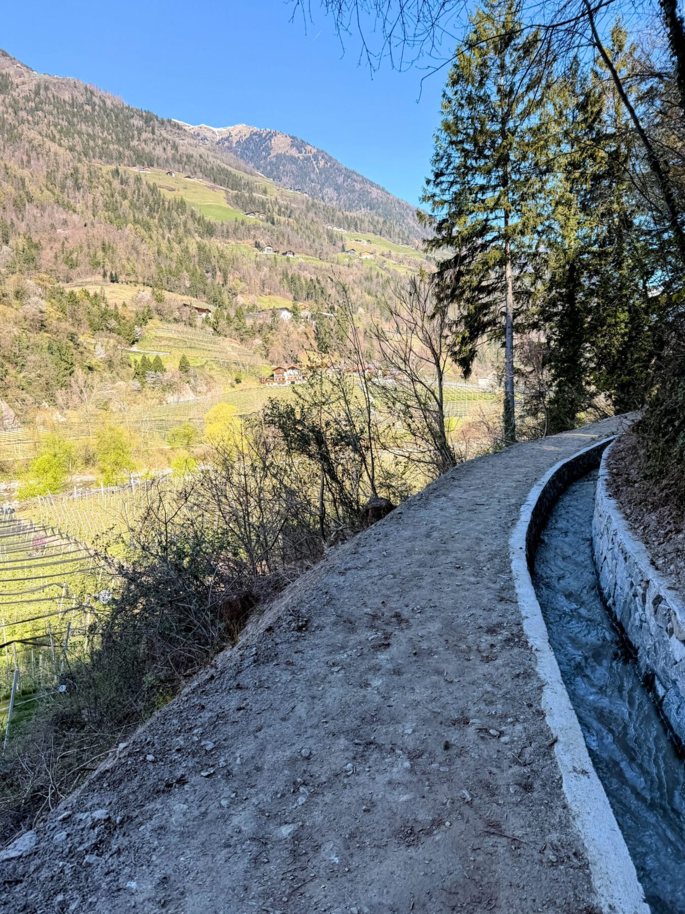 wanderung_maiser_waalweg_tappeinerweg_dorf_tirol_