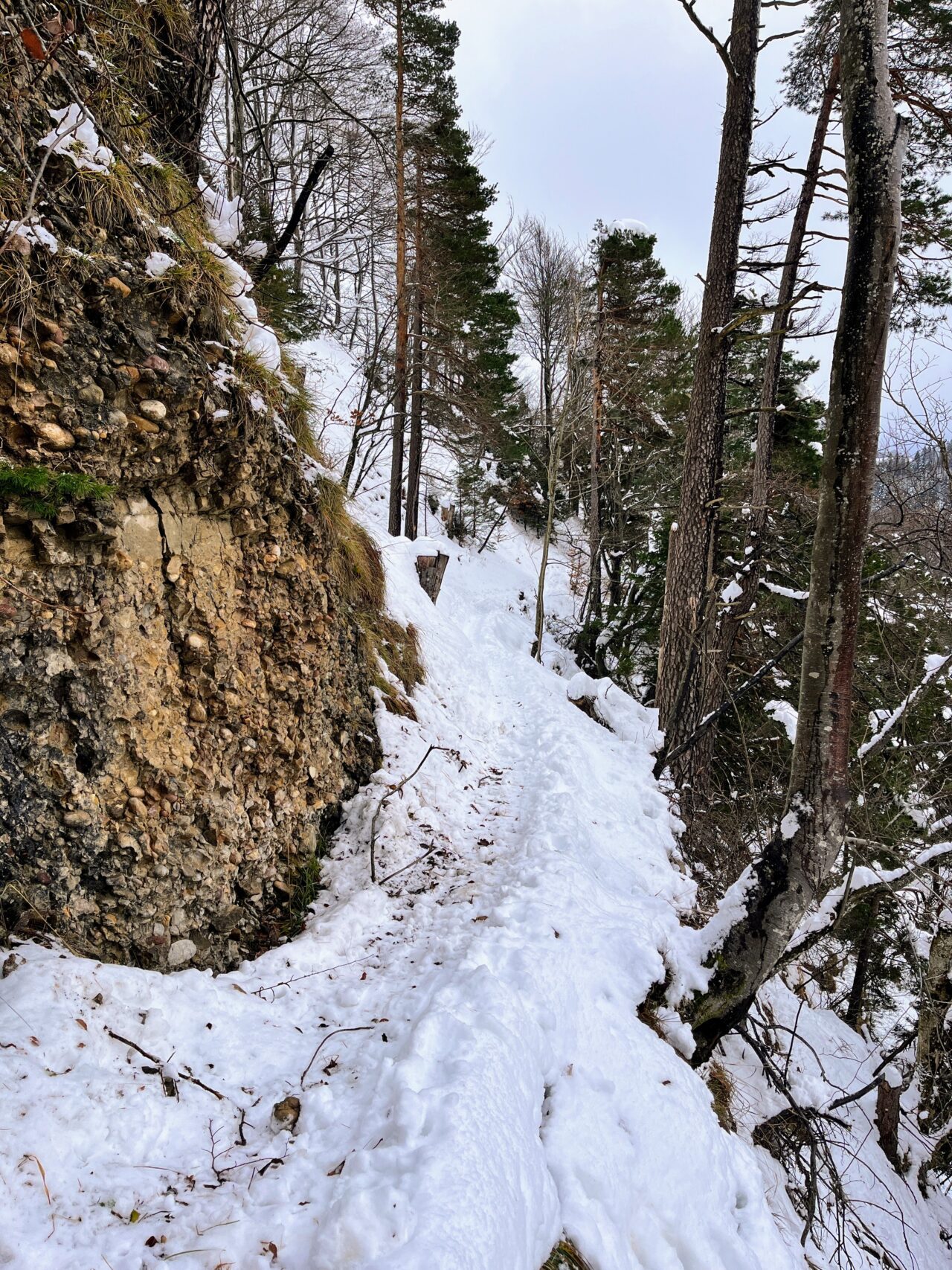 schneeschuhwanderung_schnebelhorn__IMG_2446