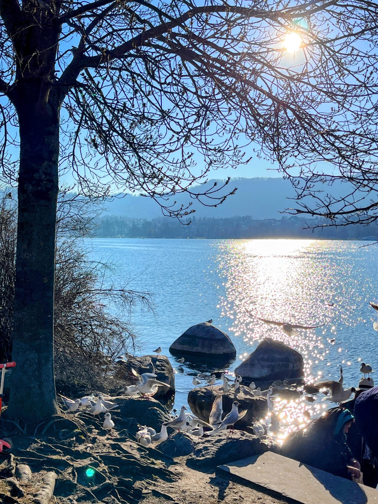 umrundung_zürichsee_zürich_meilen_