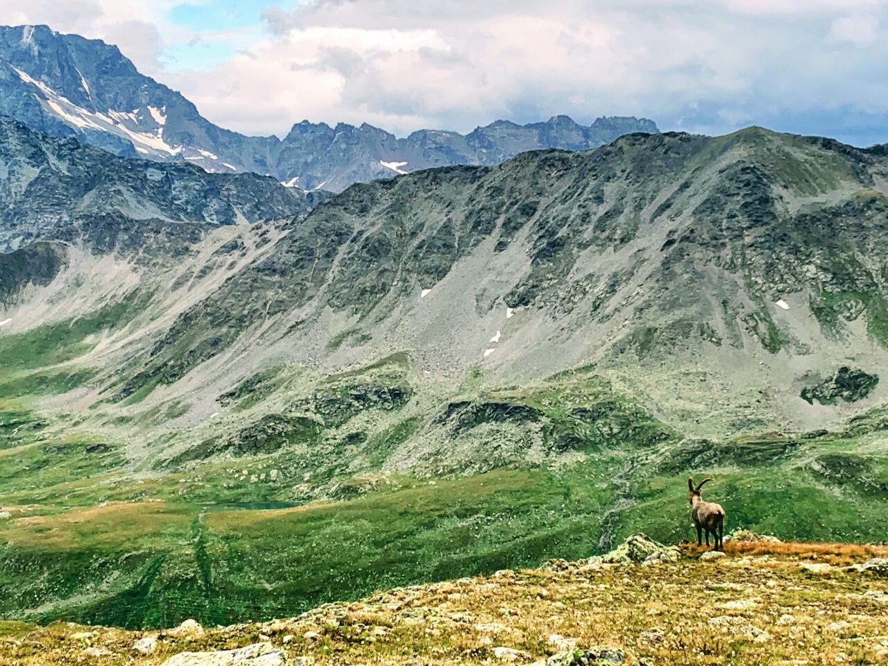 wanderung_tour_du_st_bernard_