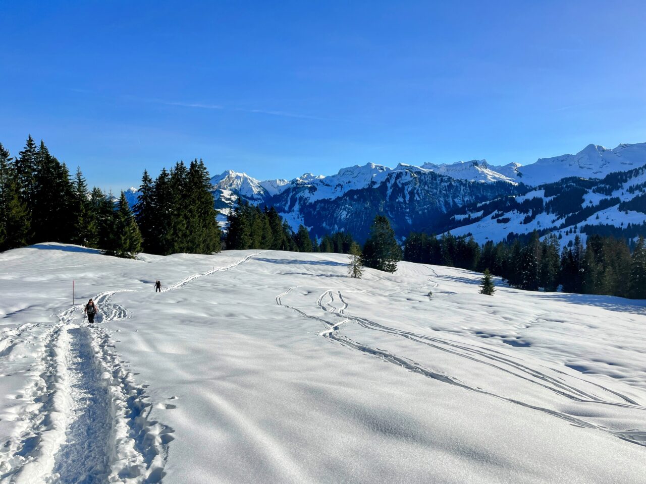 schneeschuhwanderung_oberiberg_furggelenstock__IMG_2773