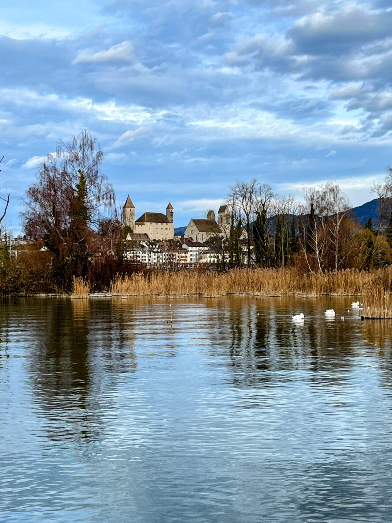 wanderung_pfaeffikon_rapperswil_