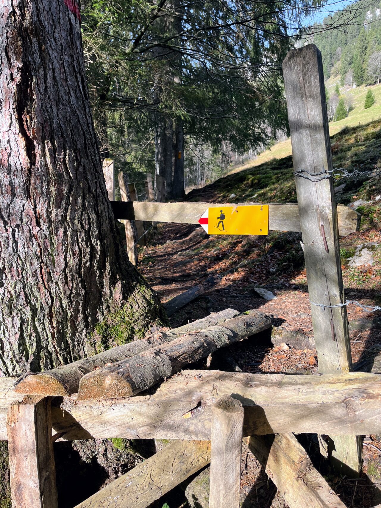 wanderung_waegitalersee_gross_aubrig_