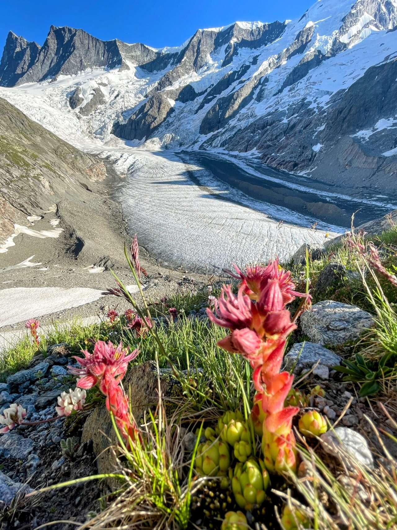 Wanderung_grindelwald_schreckhornhütte_