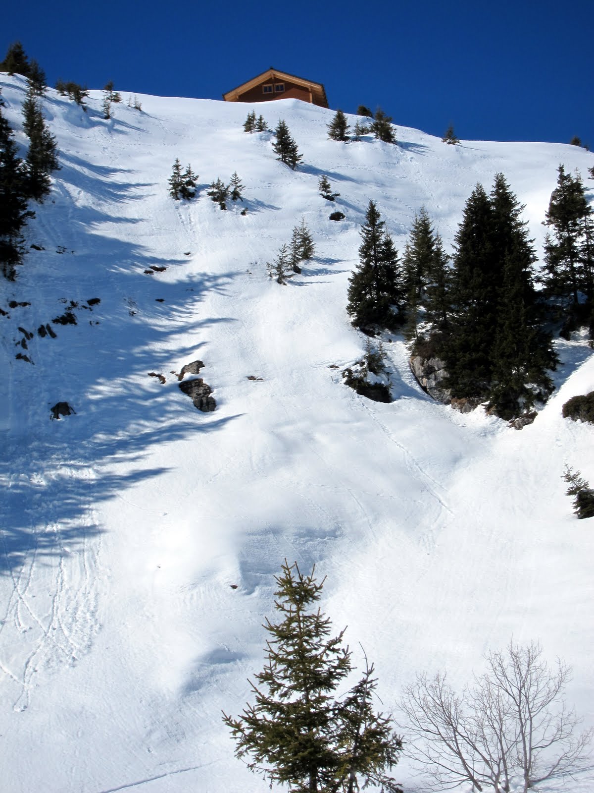 schneeschuhwanderung_lobhoerner_