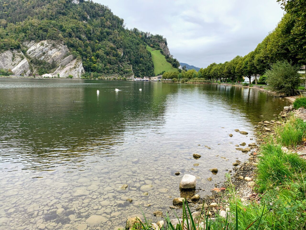wanderung_vierwaldstaettersee_alpnachstad_ennetbuergen_