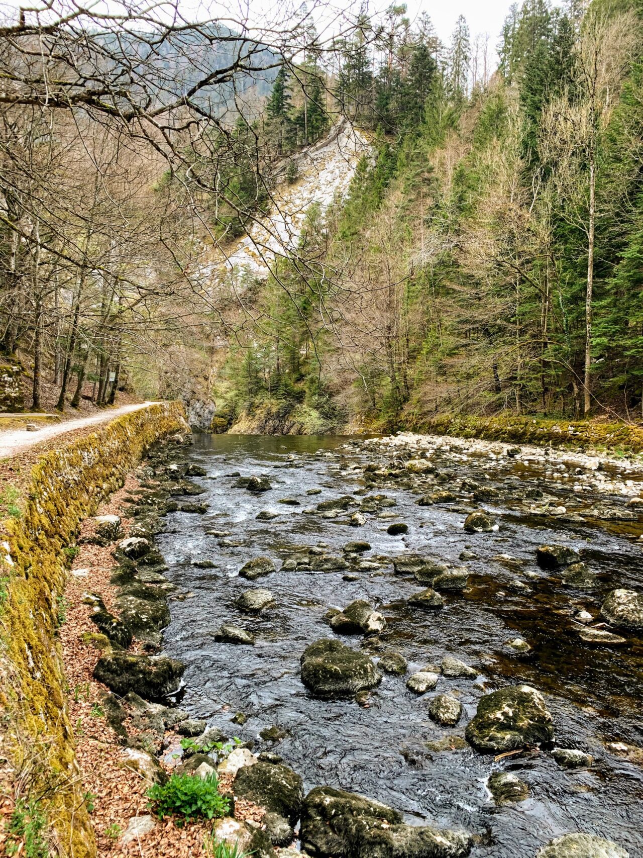 wanderung_areuse_schlucht_