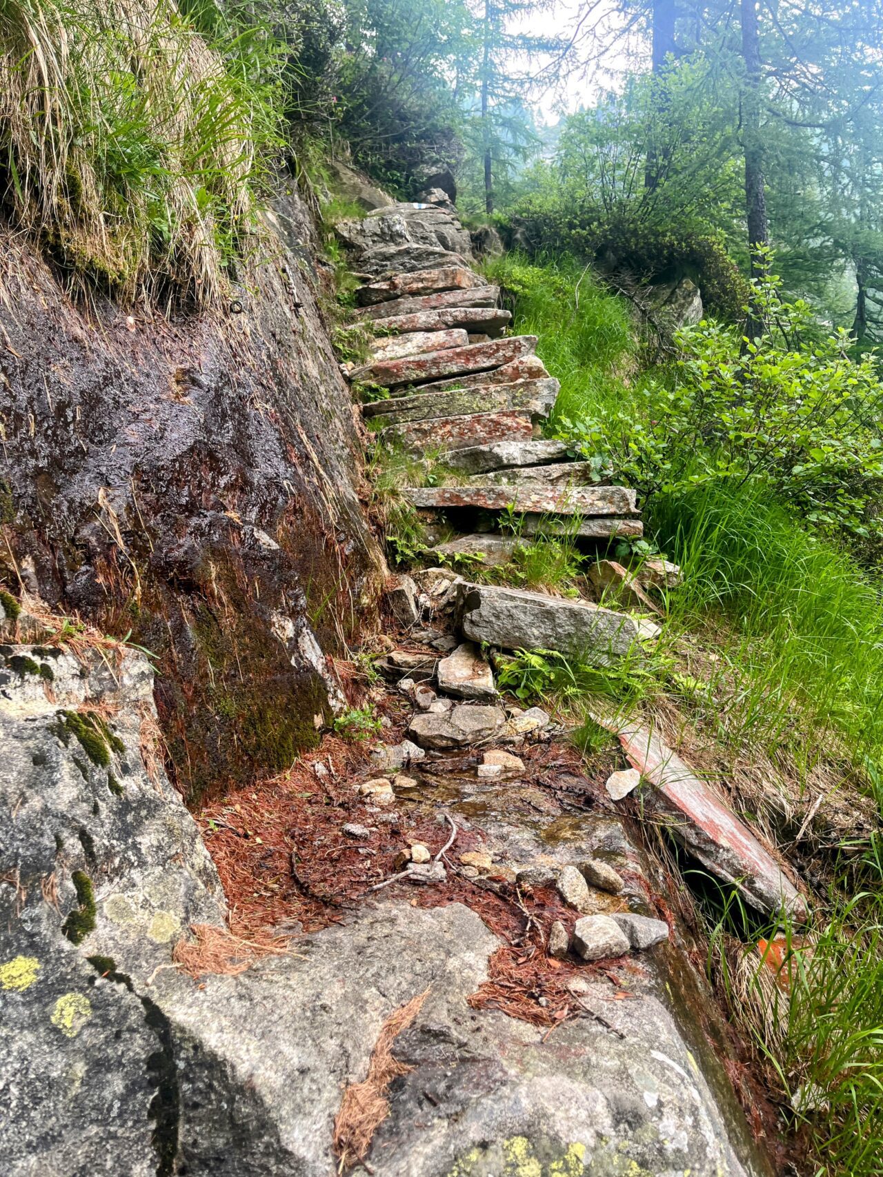 Wanderung_Alta_Via_Vallemaggia_Cimetta_Nimi_Brione_