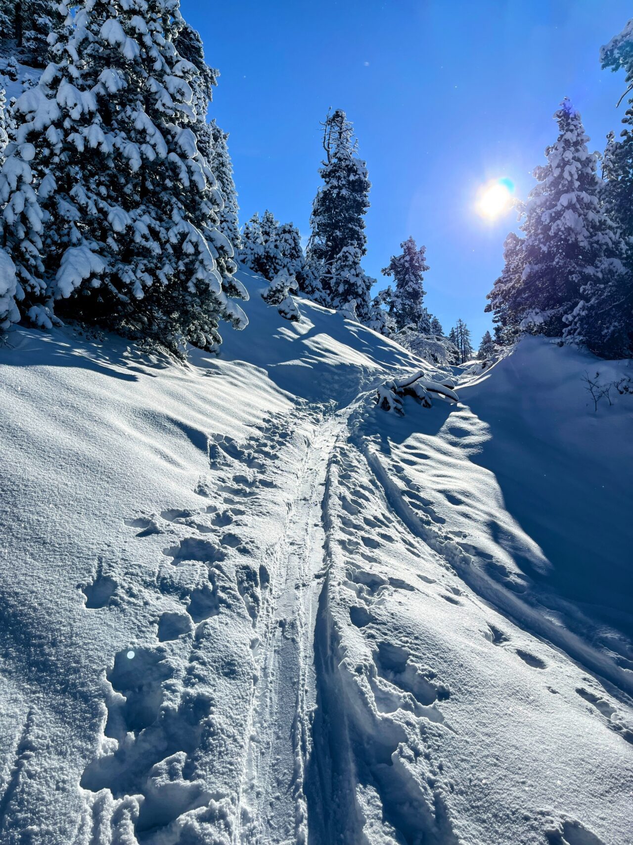 schneeschuhtour_laucherenstoeckli_ibergeregg_brunni__IMG_5759