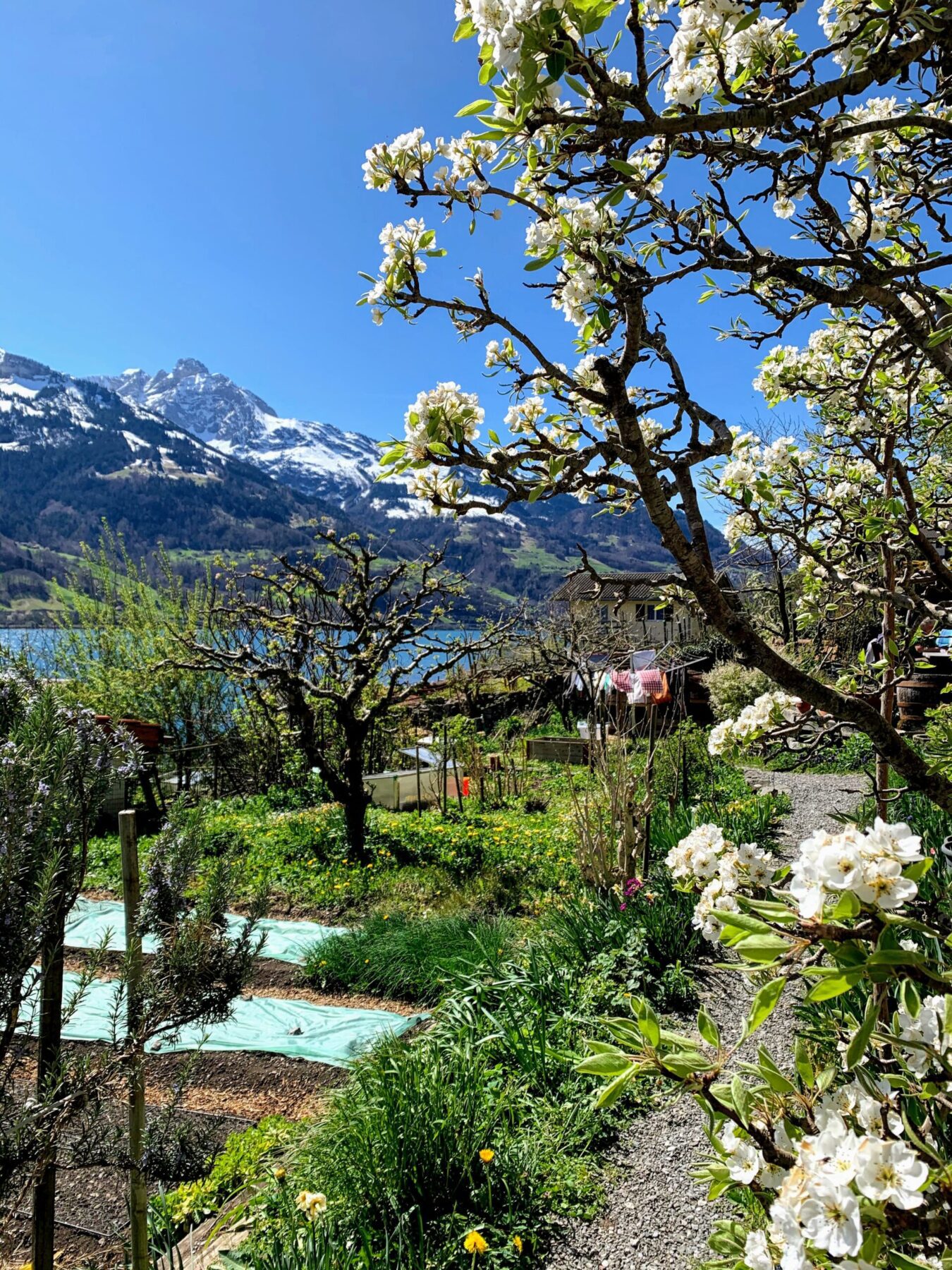 wanderung_walensee_weesen_quinten_