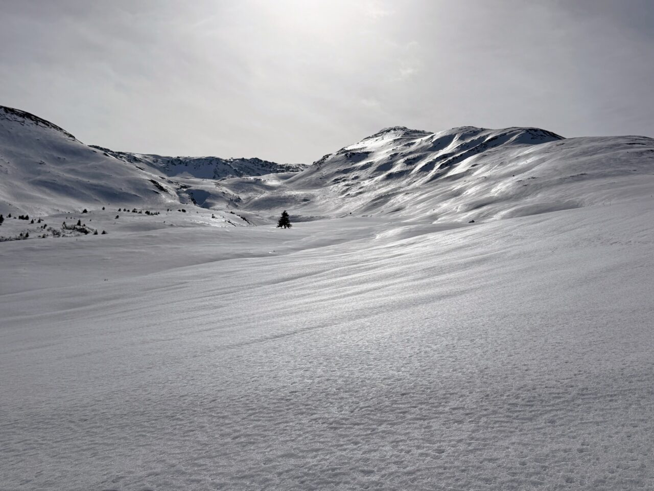 schneeschuhsafari-graubuenden-sedrun-disentis-_IMG_0301