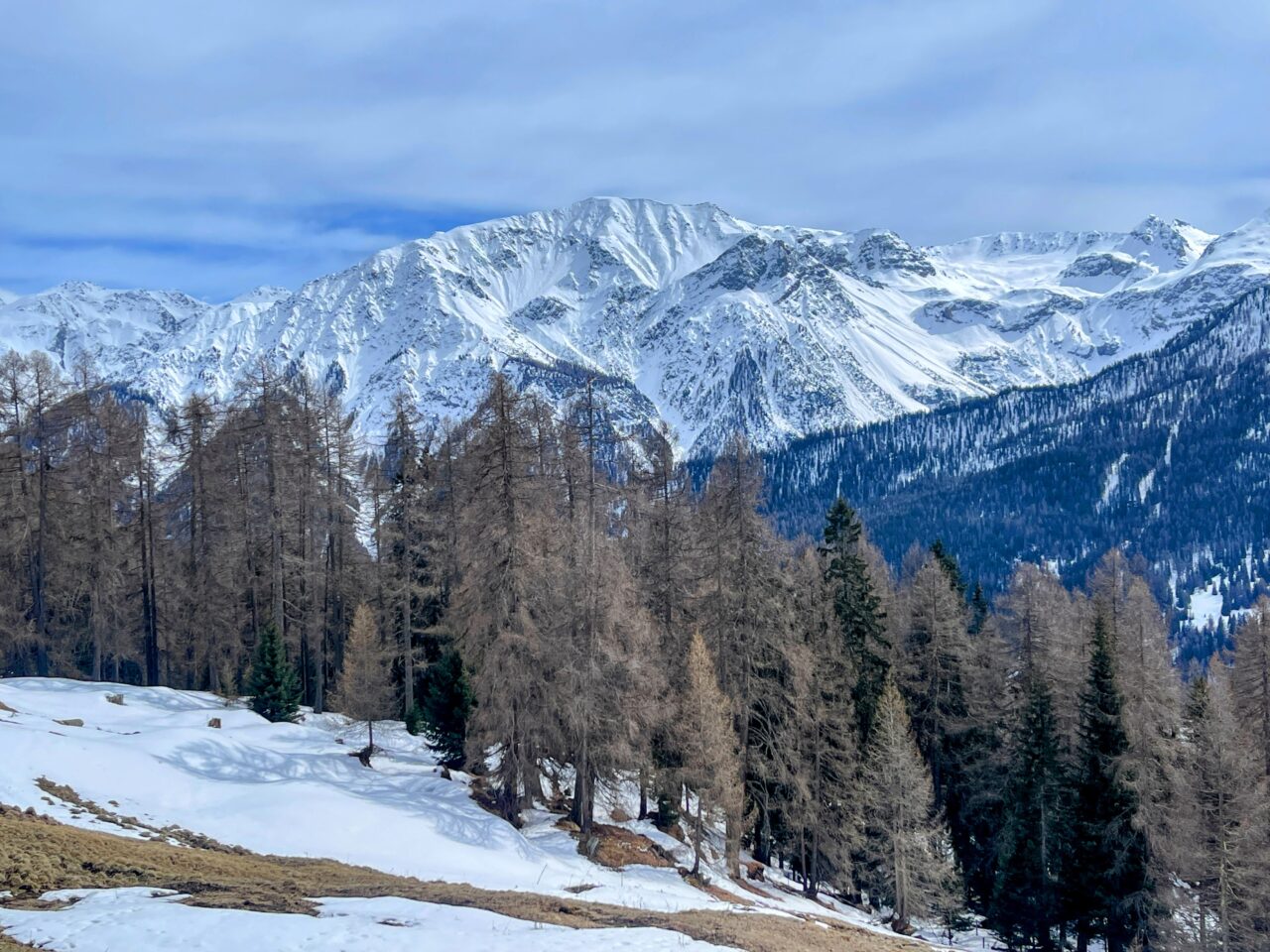 winterwanderung_lü_santa_maria__IMG_8506