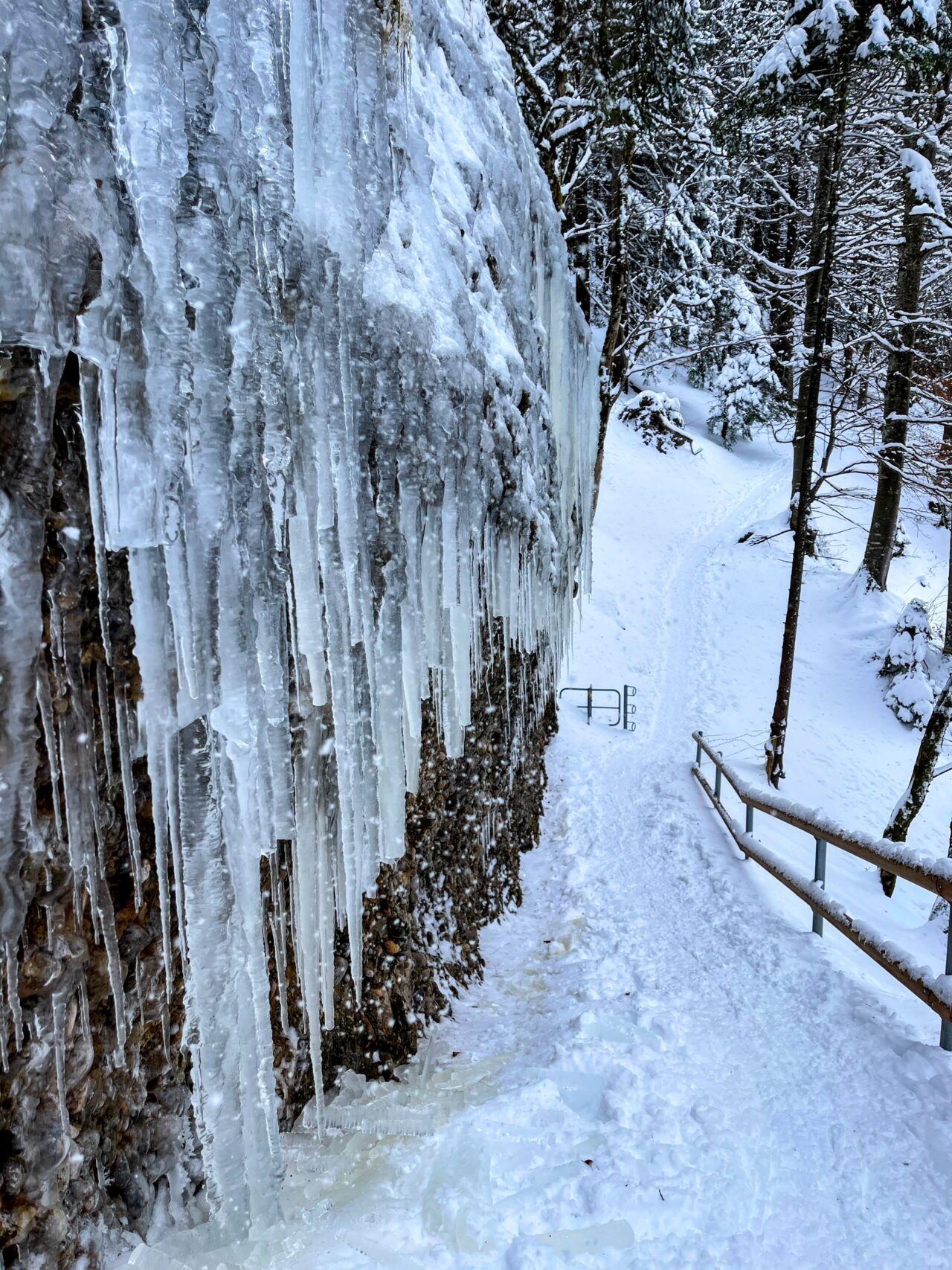 schneeschuhwanderung_atzmaennig_chruezegg_