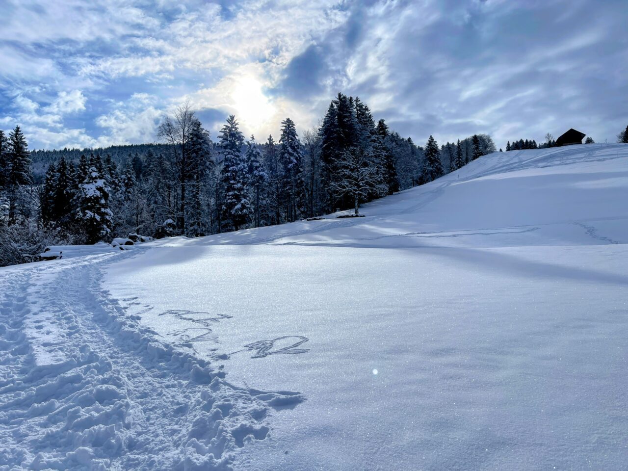 schneeschuhwanderung_atzmaennig_chruezegg_