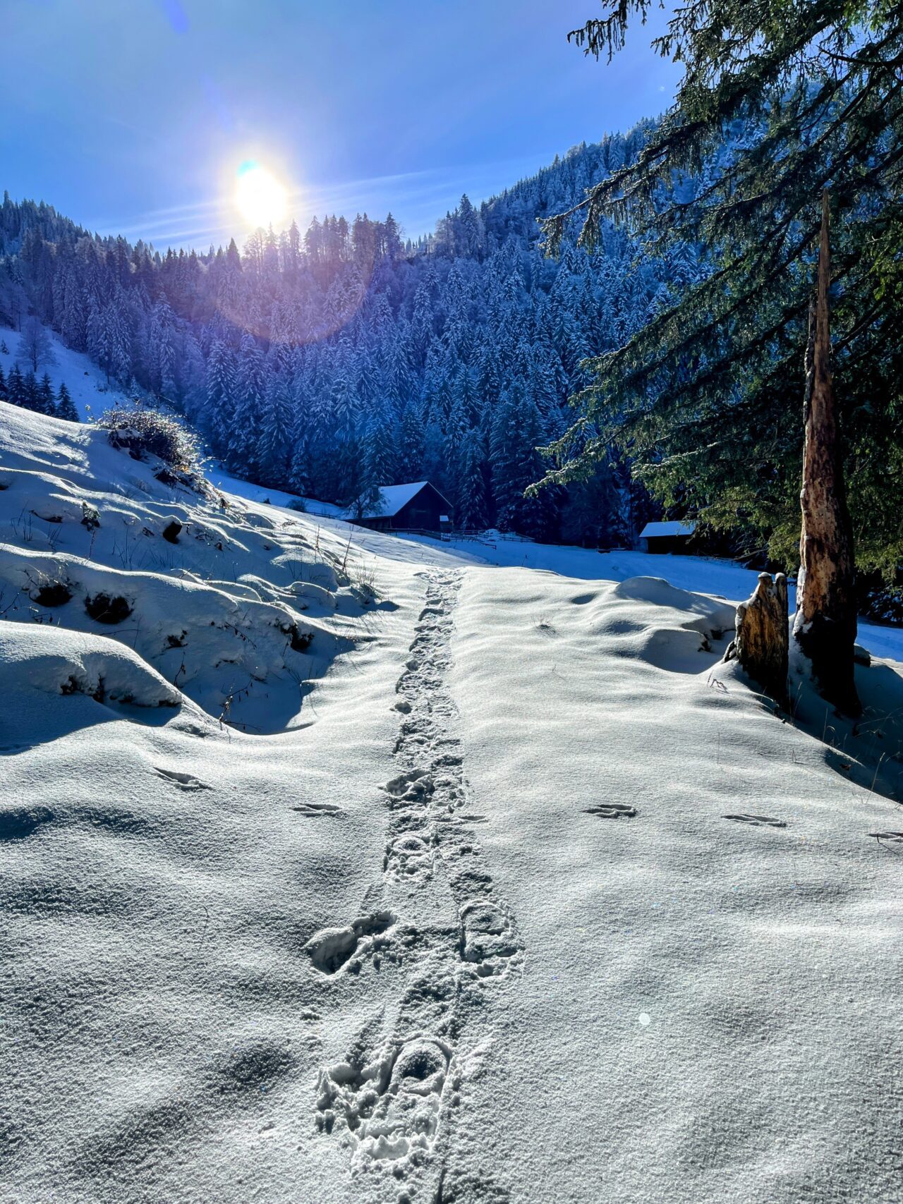 schneeschuhwanderung_wildspitz__IMG_2274
