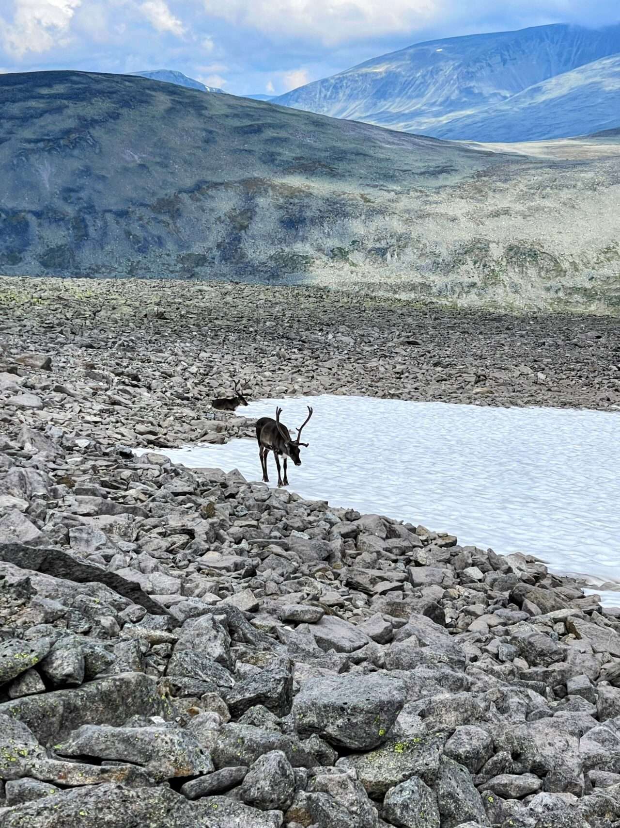 jotunheimen_wanderung_memurubu_besseggen_gjendesheim_