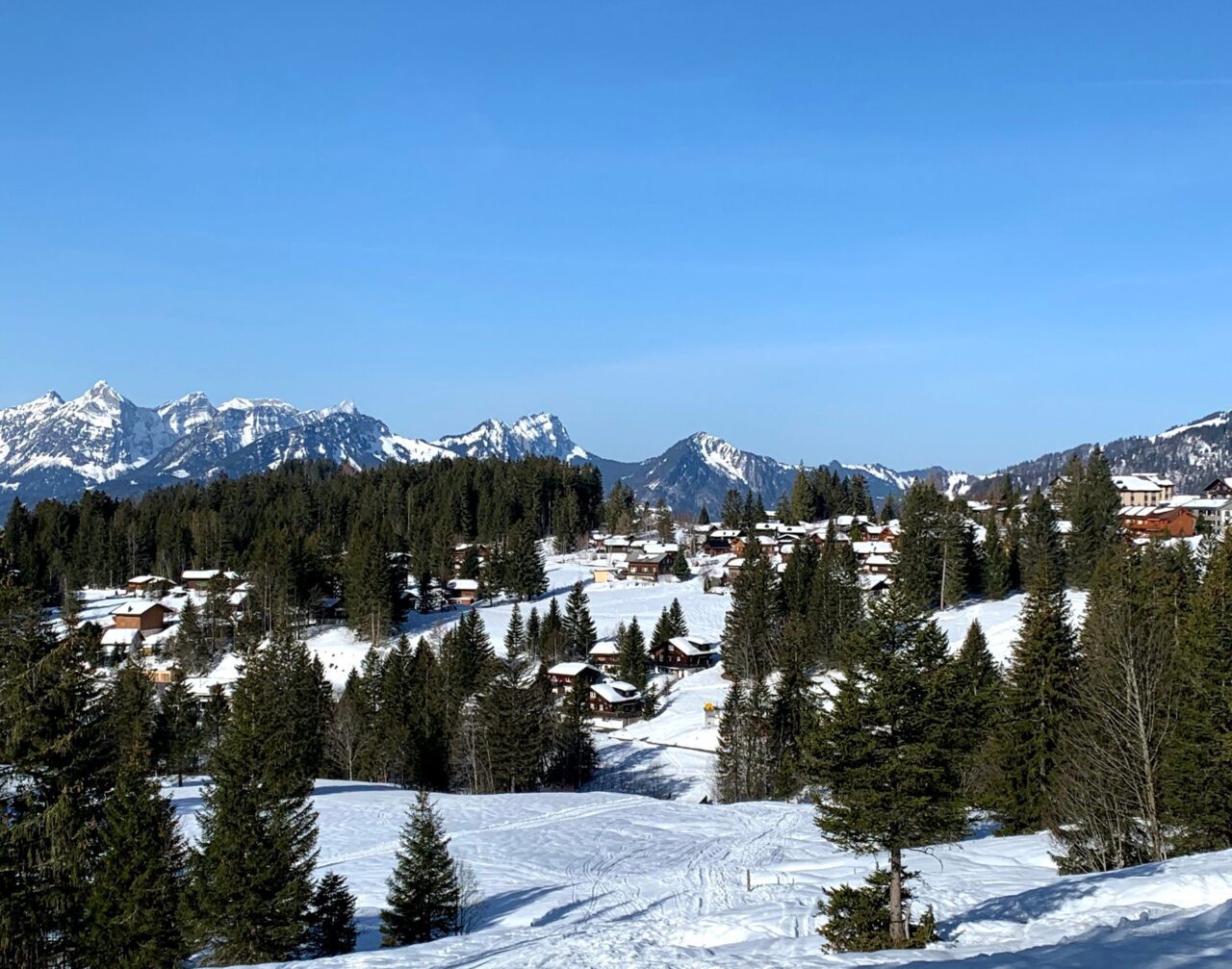 schneeschuhtour_fluegenspitz_
