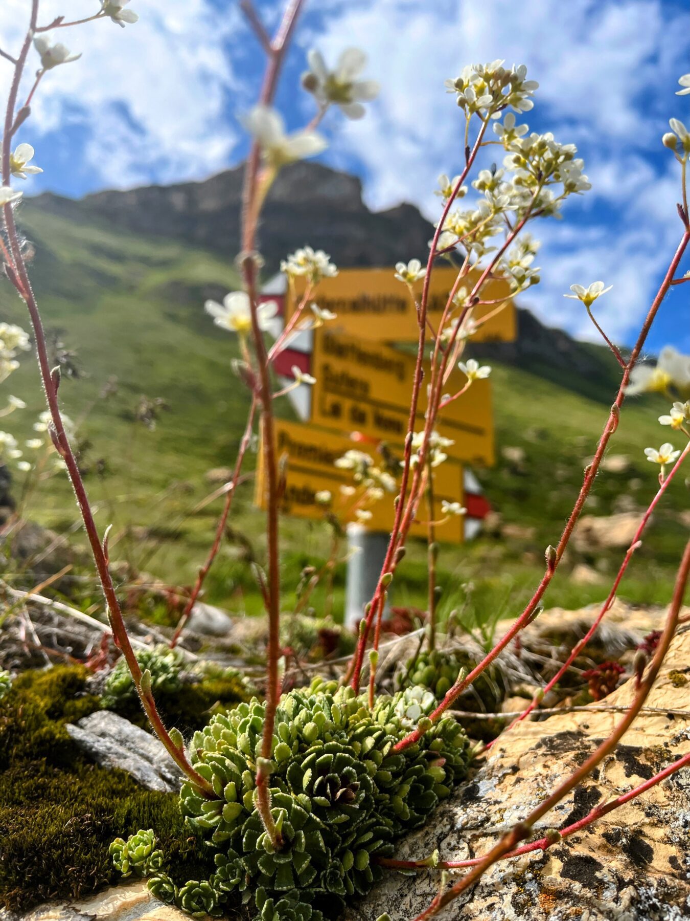 wanderung_cufercalhütte_