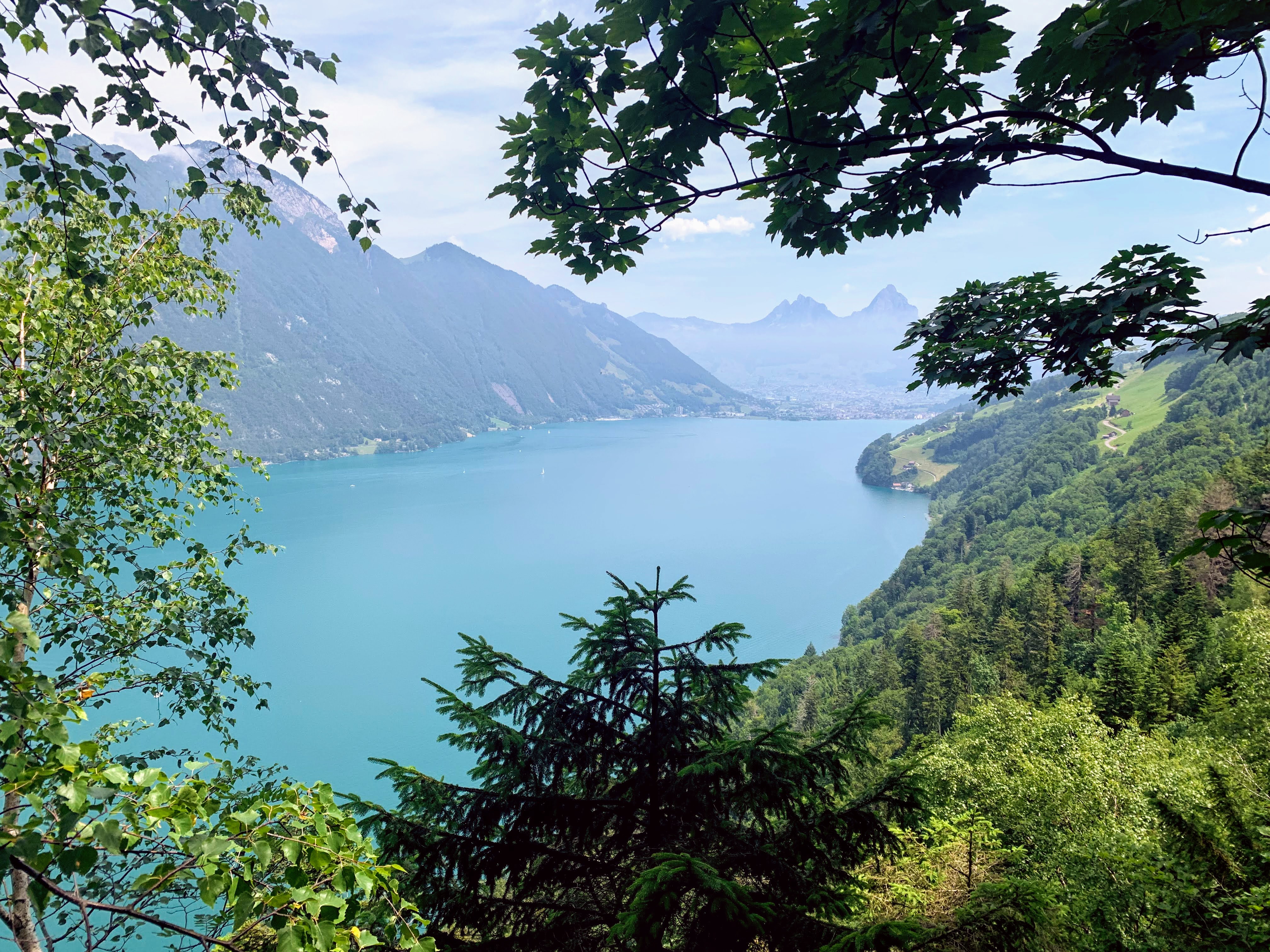 wanderung_trans_swiss_trail_beckenried_ruetli_